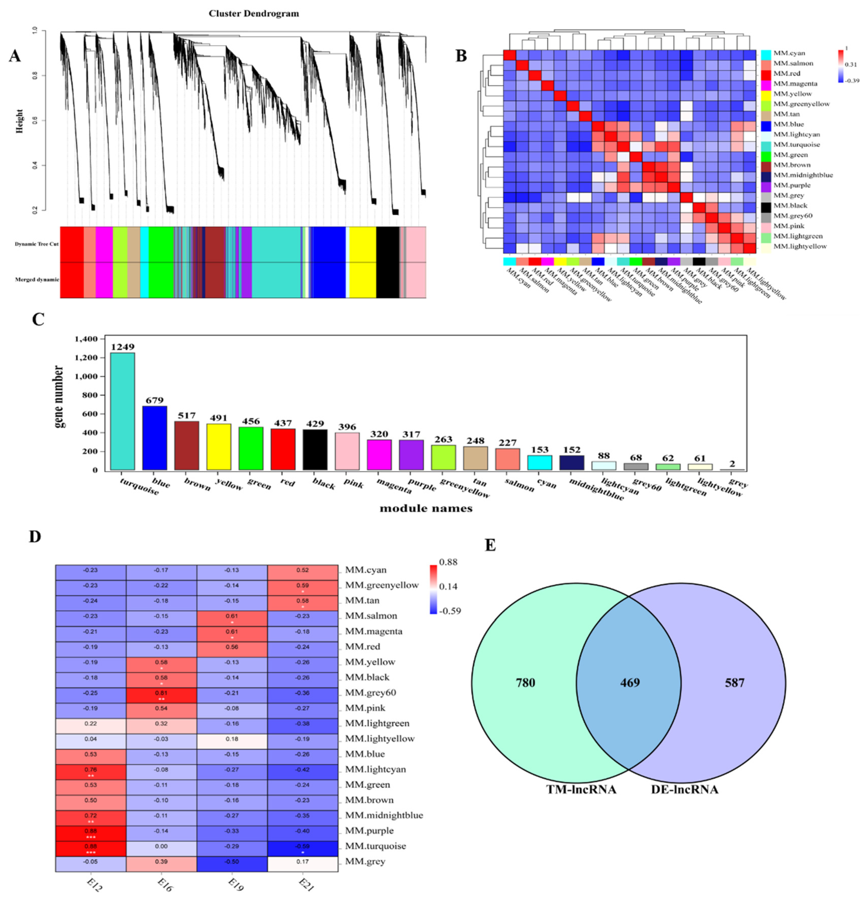 Animals 12 01274 g003