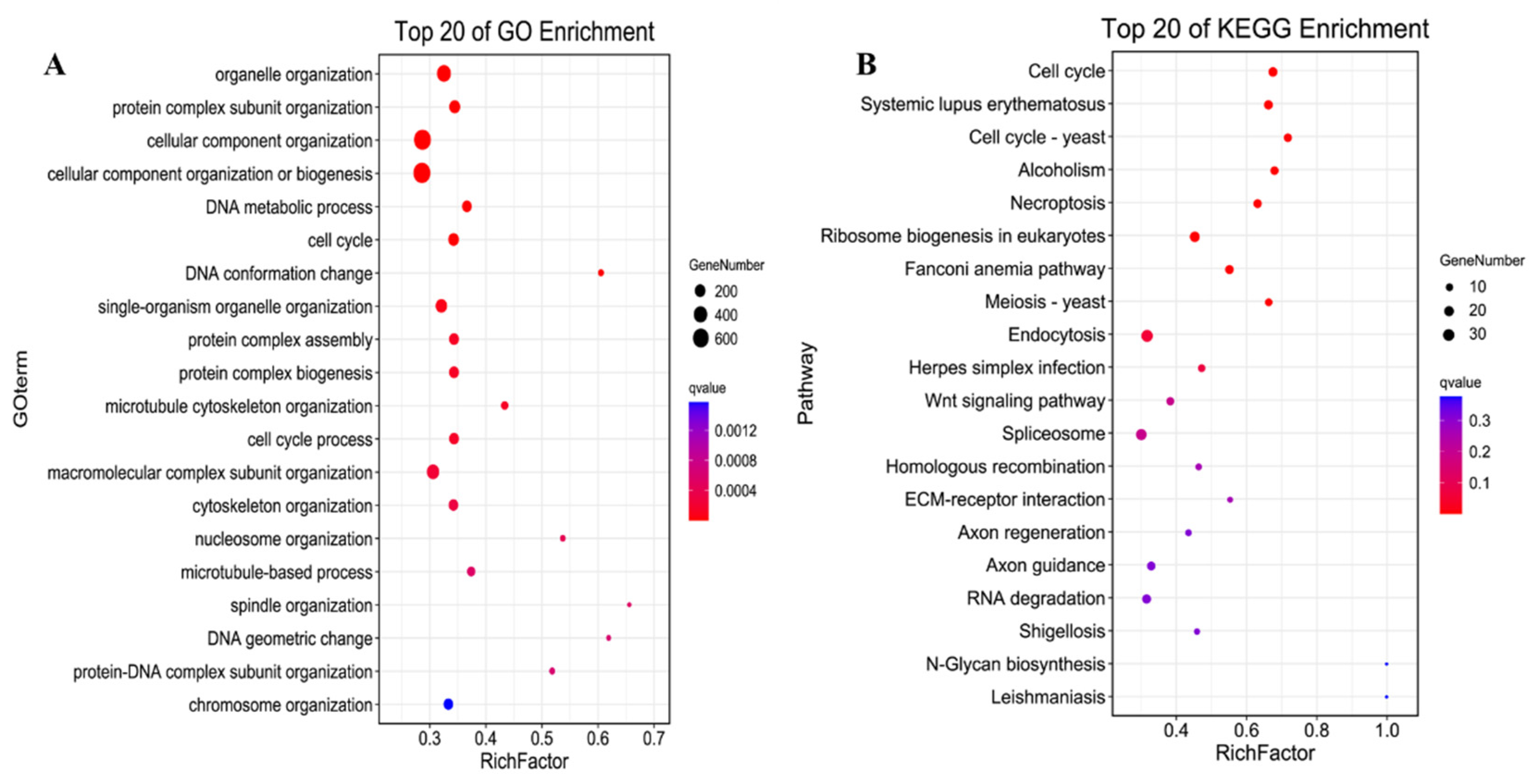 Animals 12 01274 g004