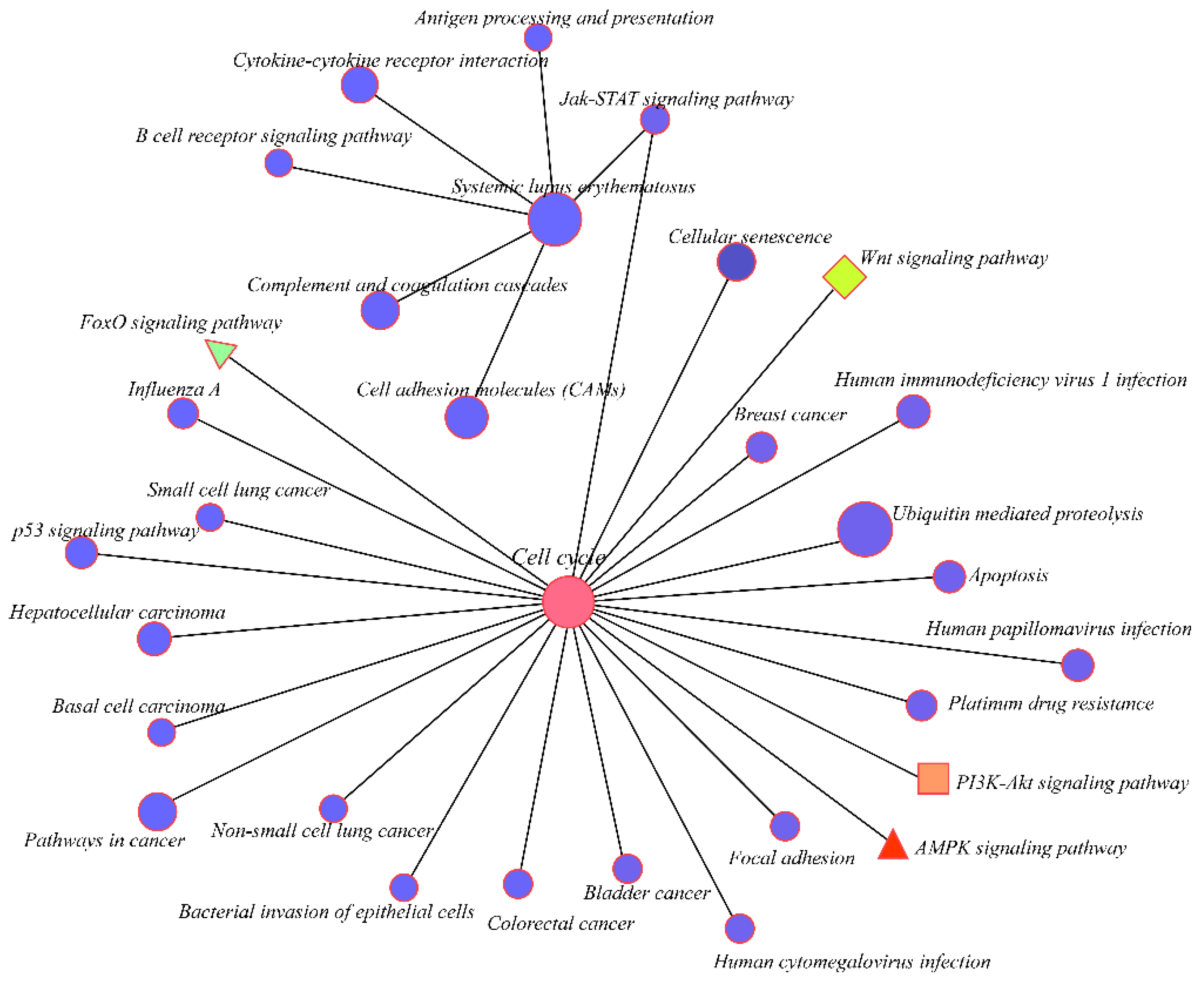 Animals 12 01274 g005