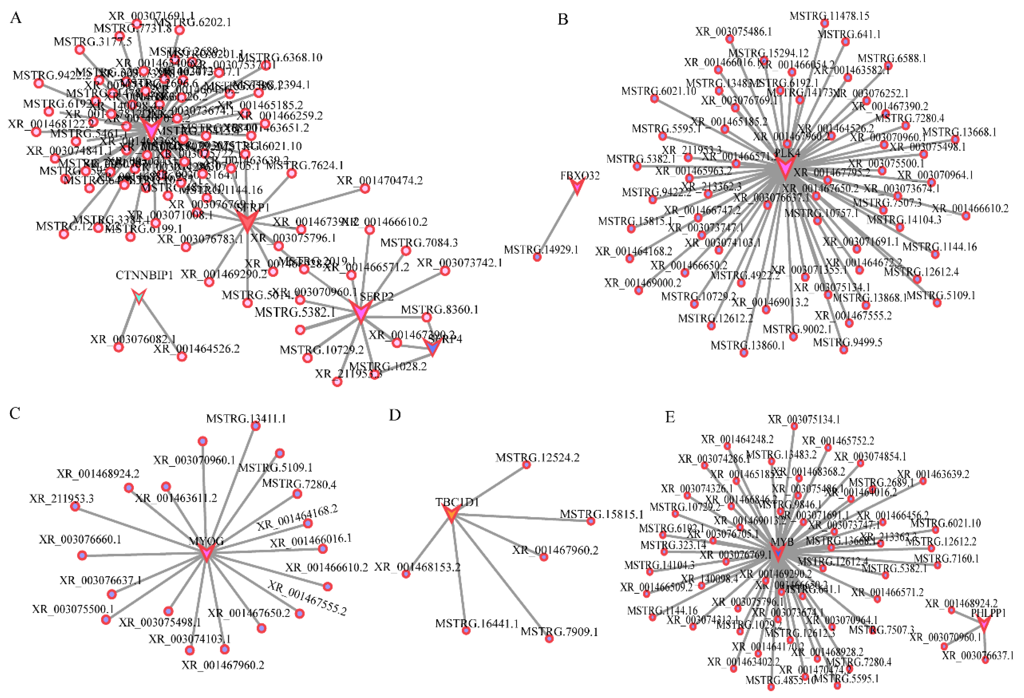 Animals 12 01274 g006