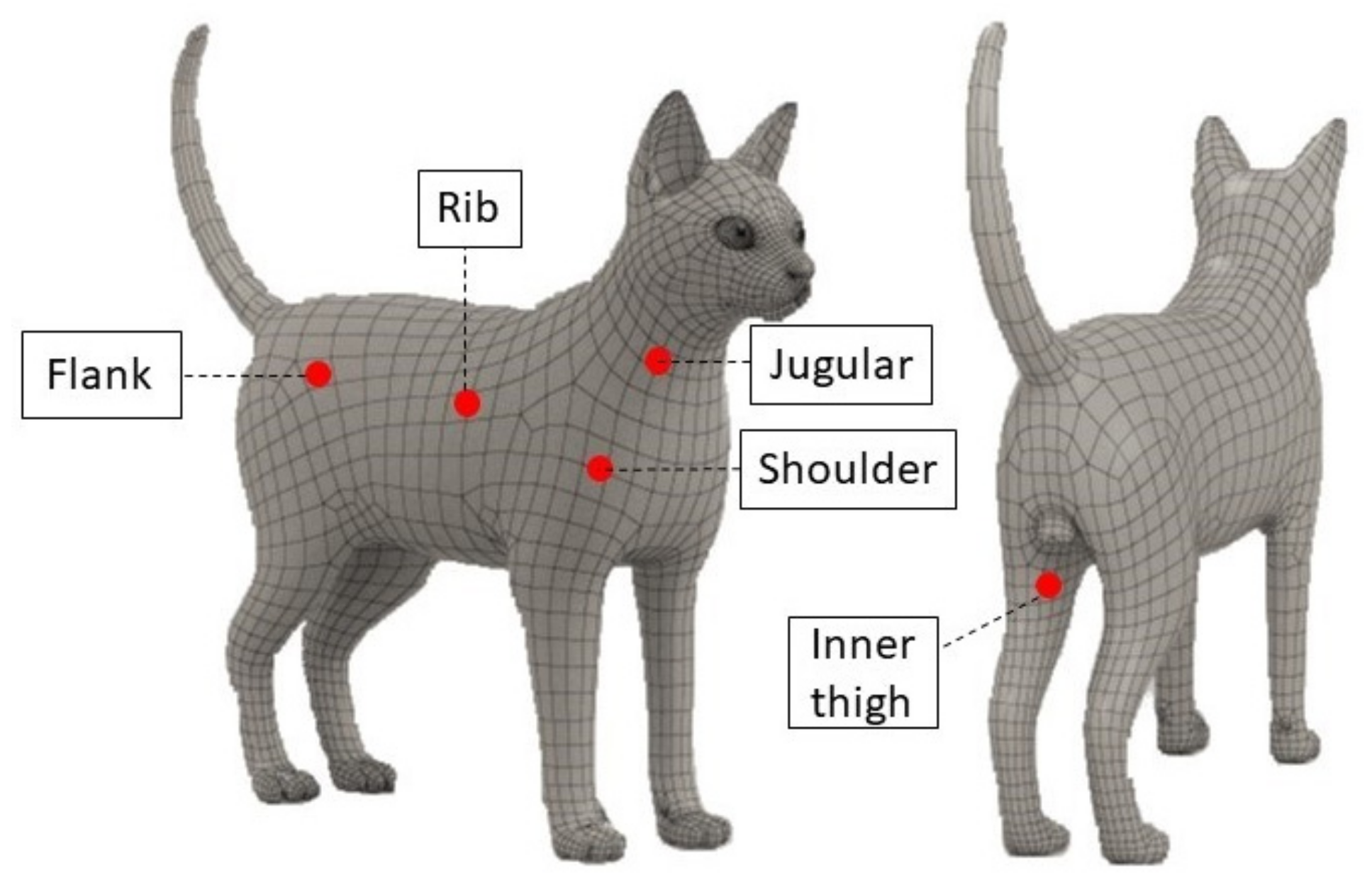 Animals 12 01275 g001 Animals 12 01275 g001