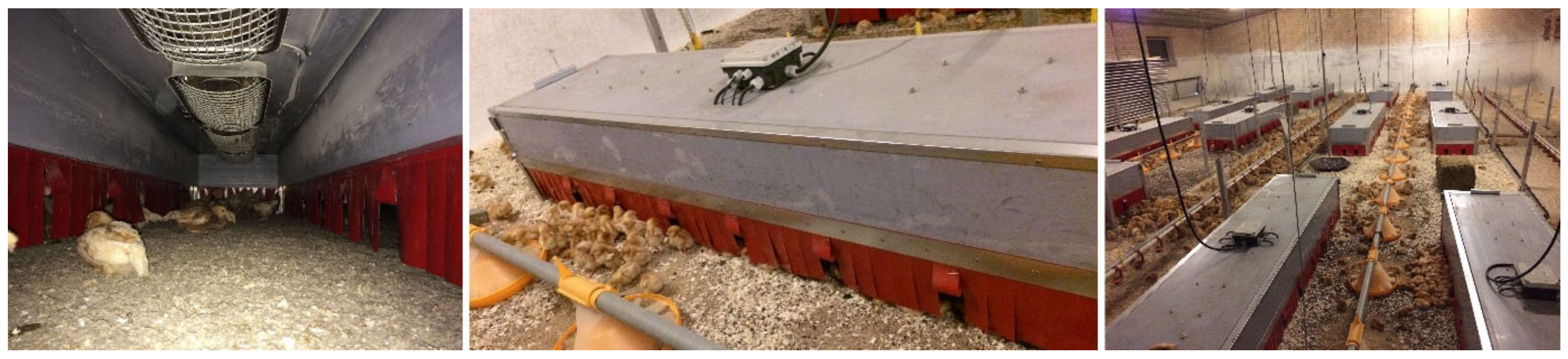 Animals 12 01276 g003 550