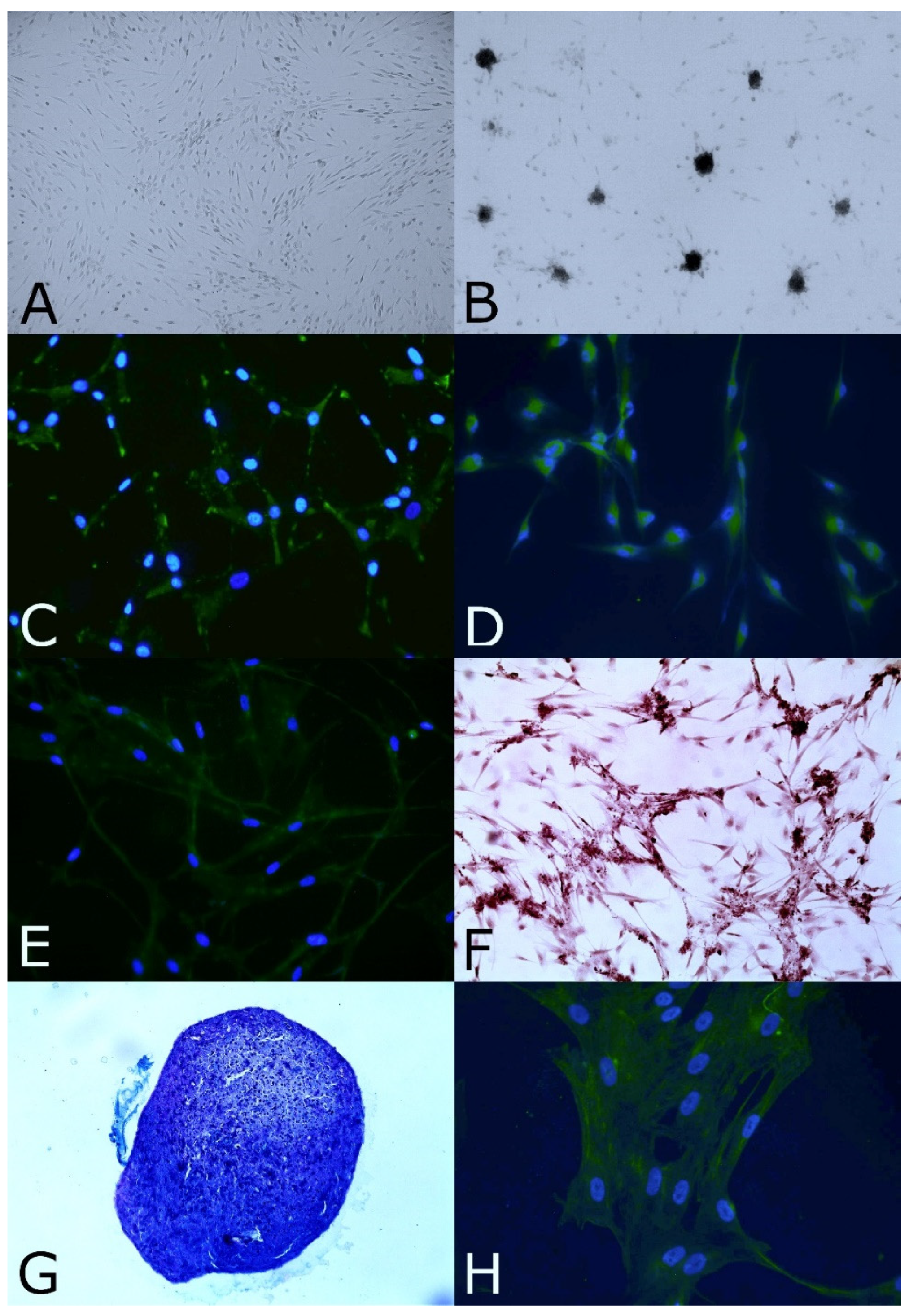 Animals 12 01284 g001 550