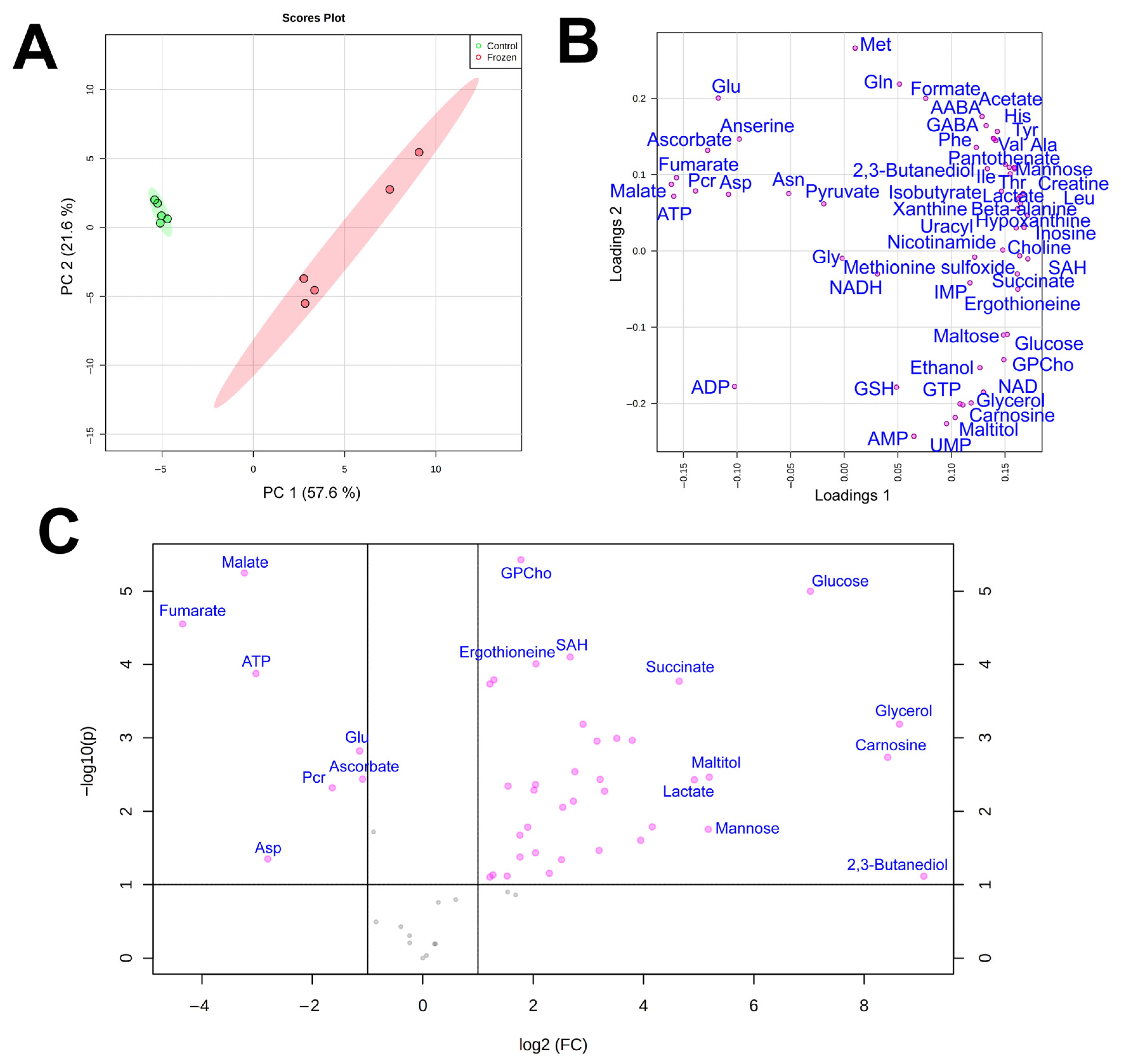 Animals 12 01286 g001 550