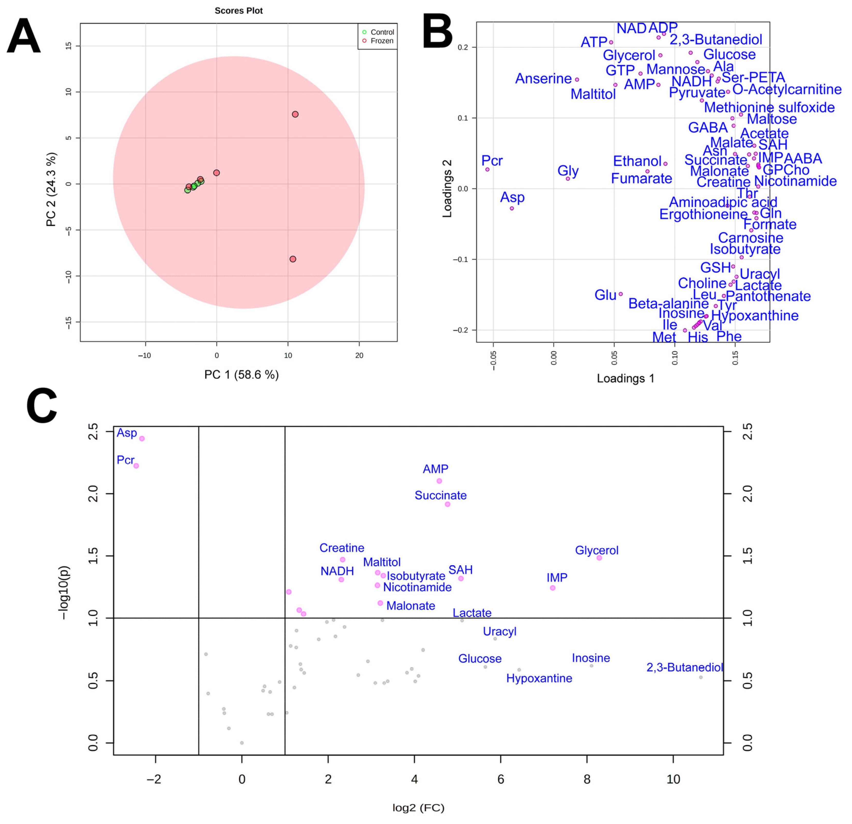 Animals 12 01286 g002 550