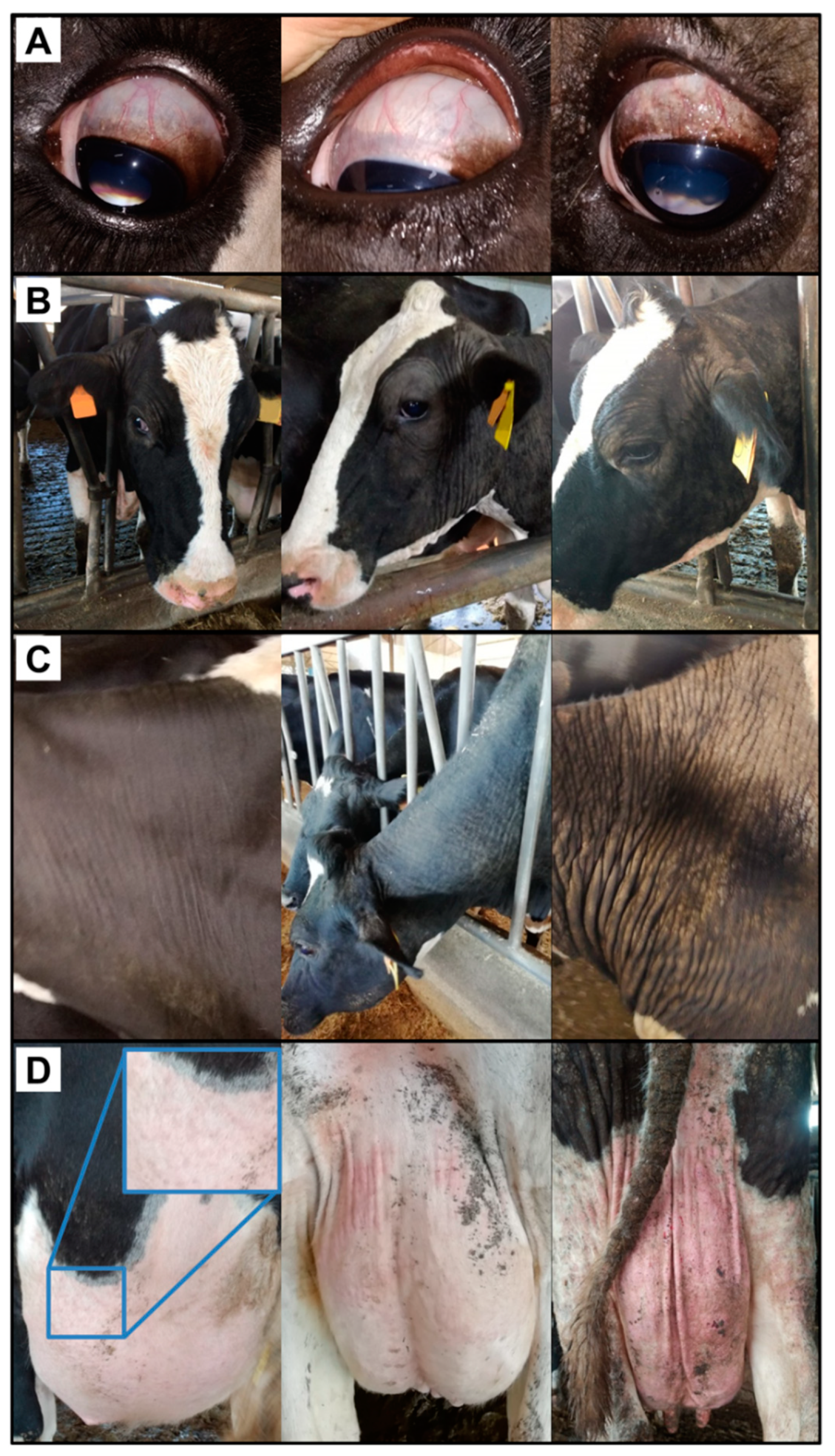 Animals 12 01291 g001 Animals 12 01291 g001