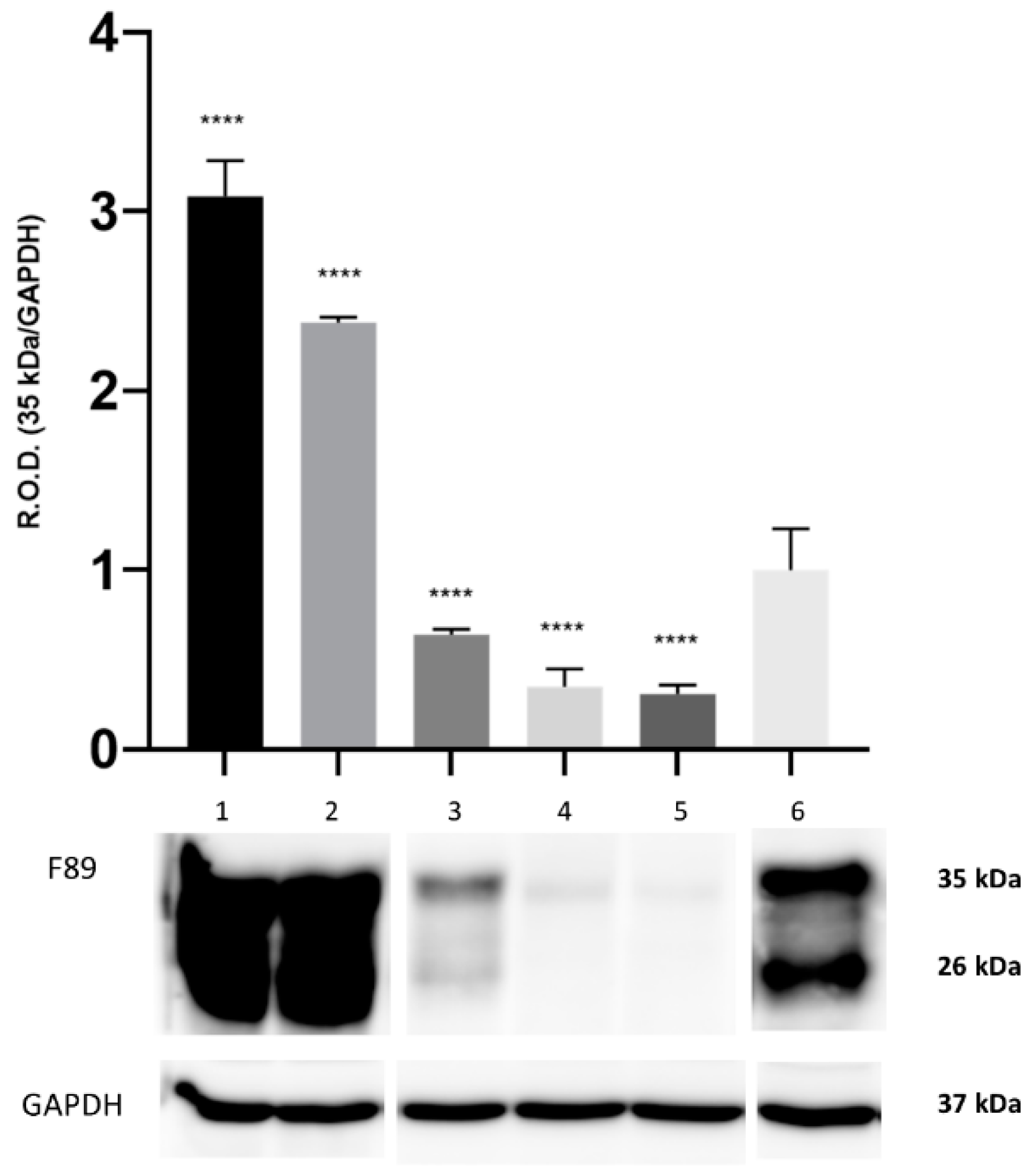 Animals 12 01304 g001