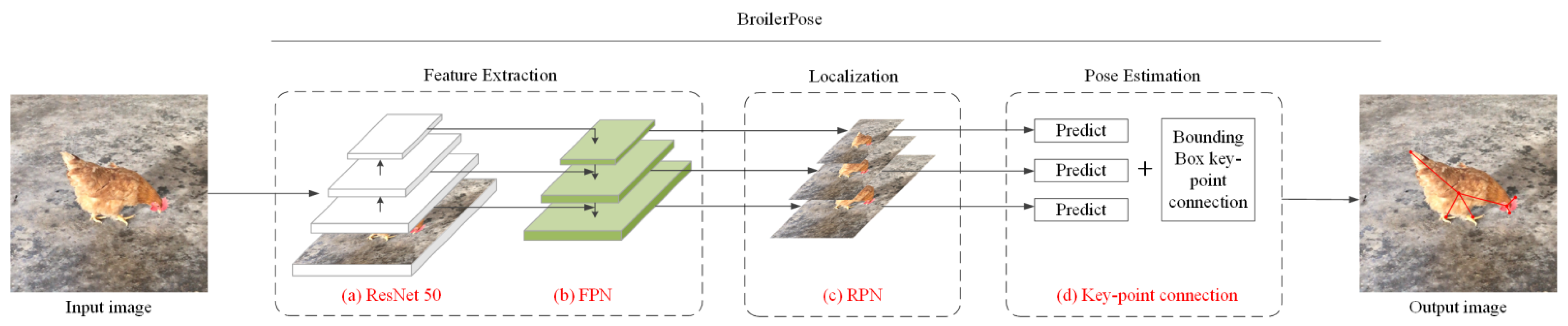 Animals 12 01322 g004