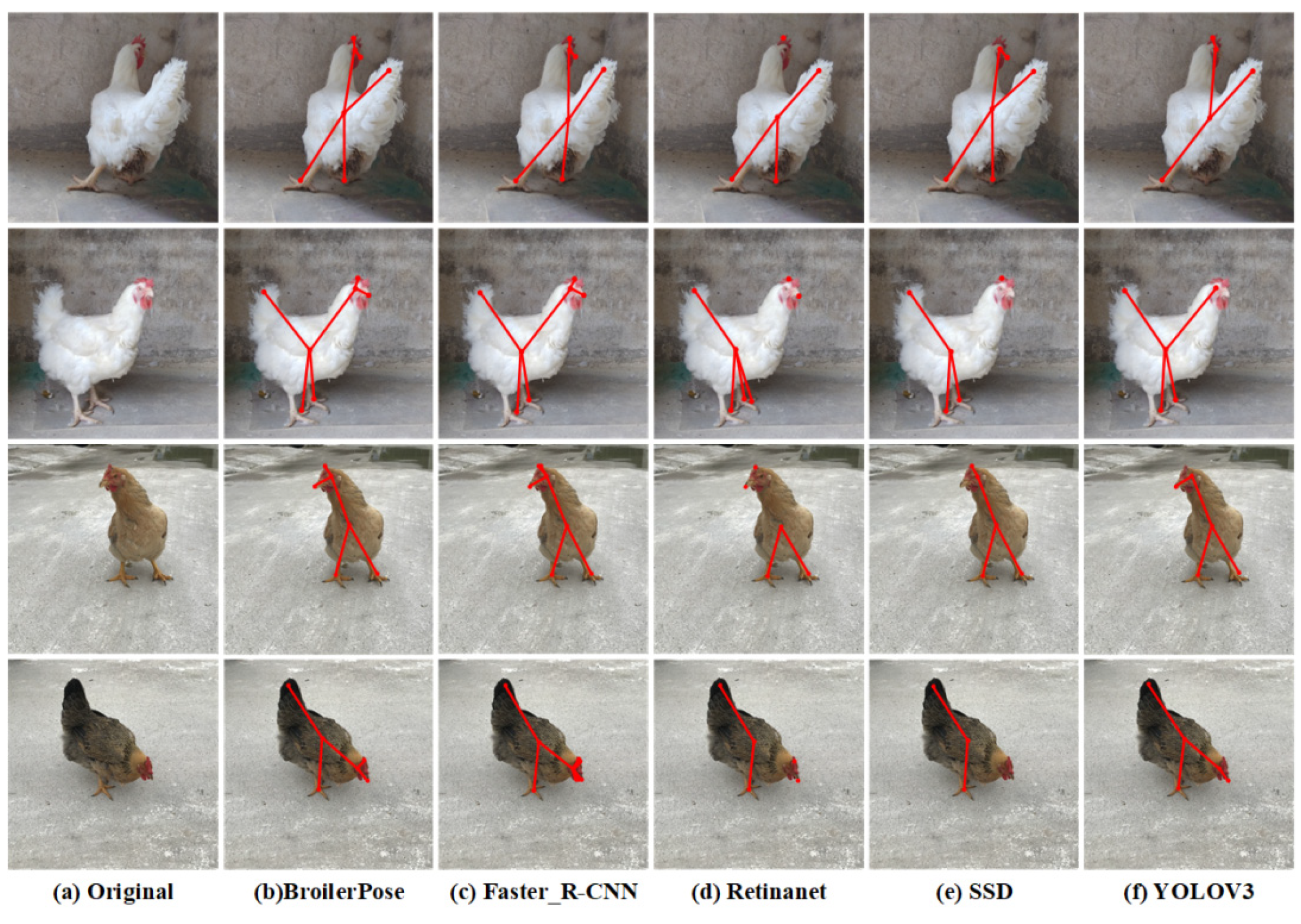 Animals 12 01322 g007