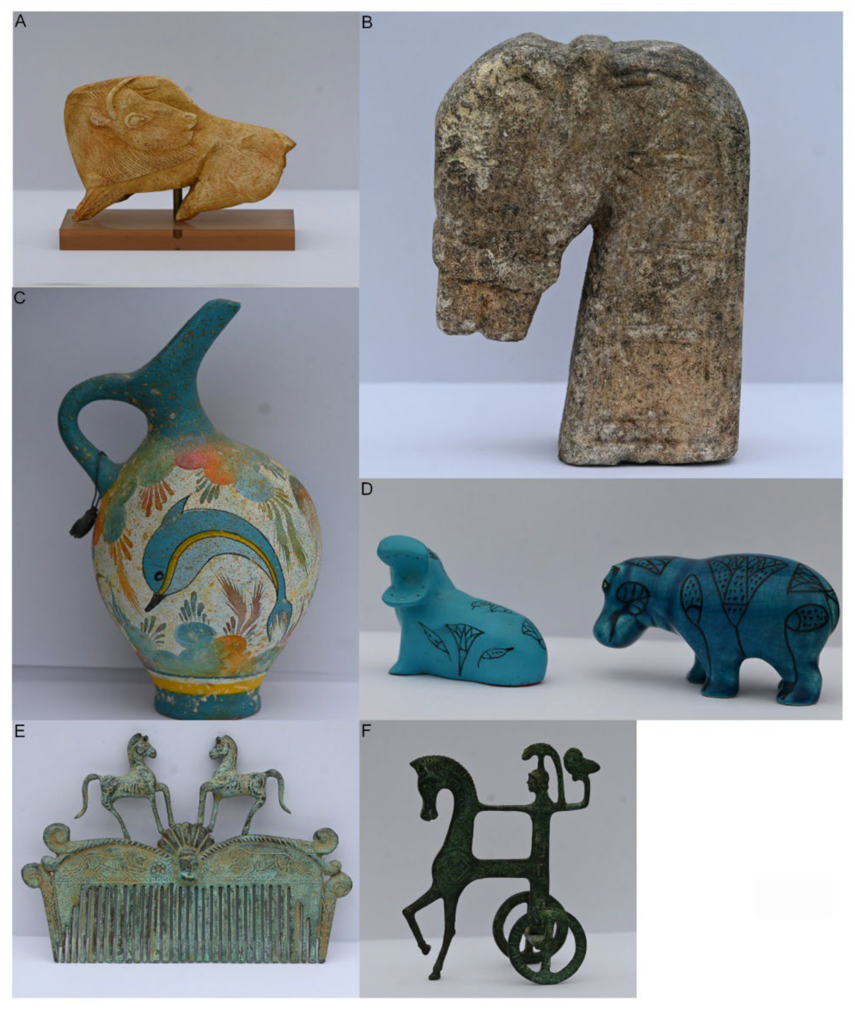 Animals 12 01336 g001 Animals 12 01336 g001