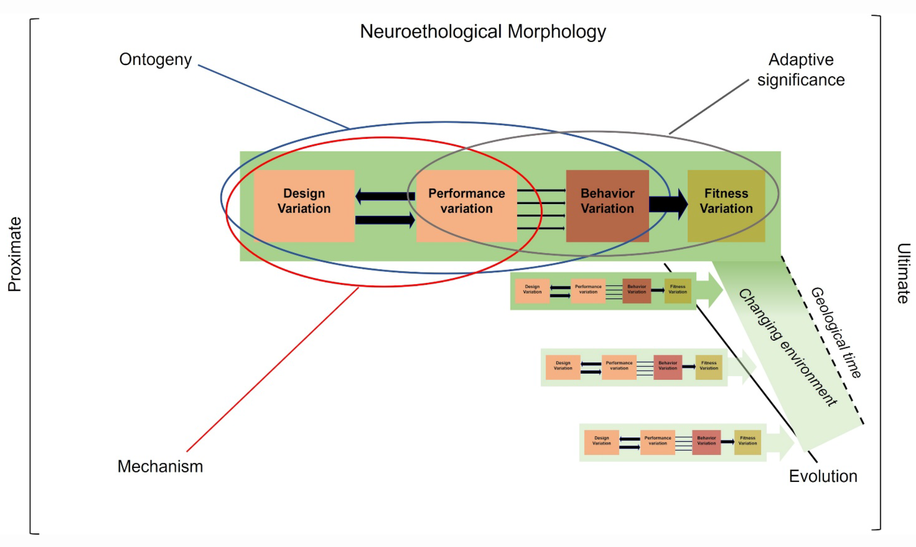 Animals 12 01336 g011 Animals 12 01336 g011
