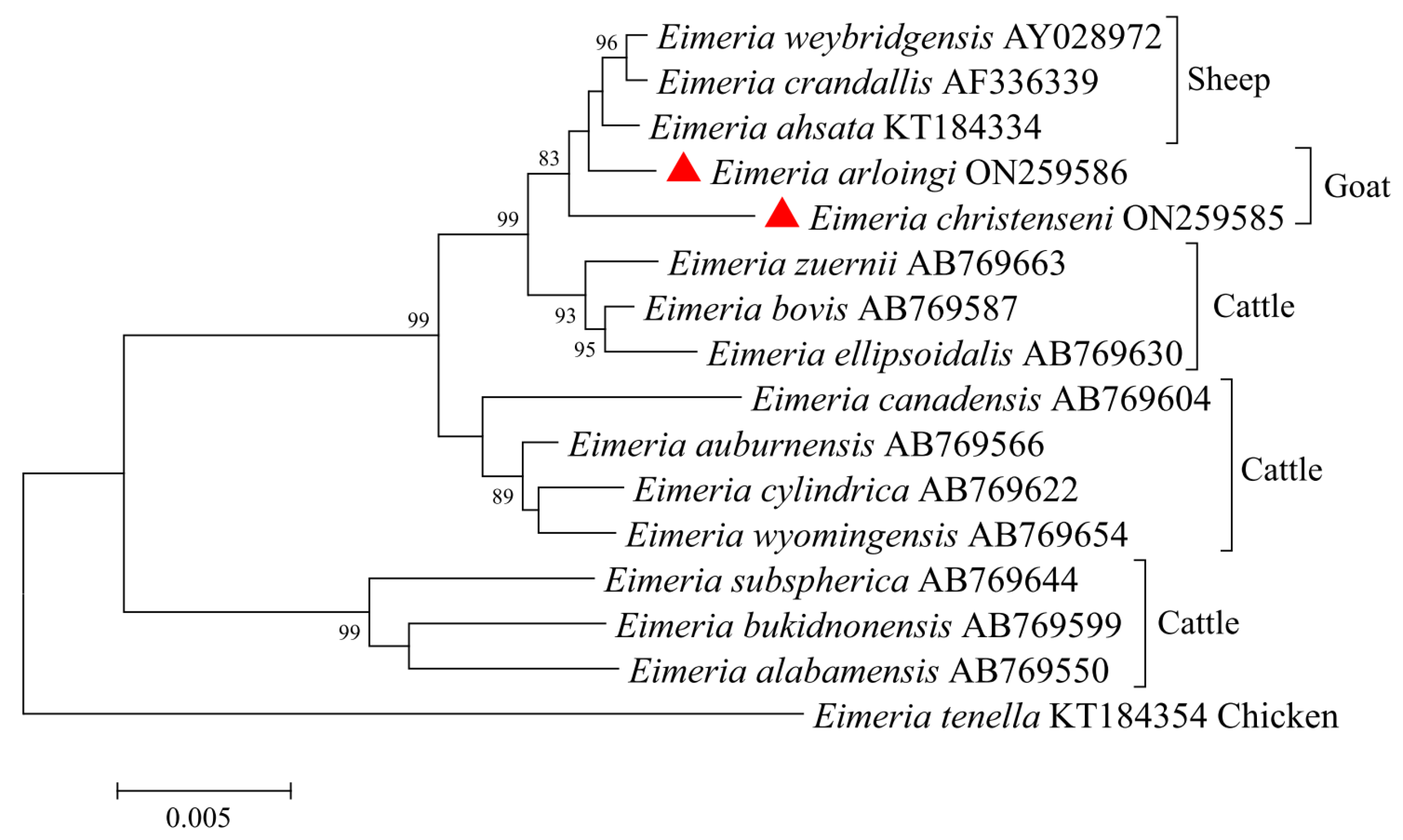 Animals 12 01340 g002 550