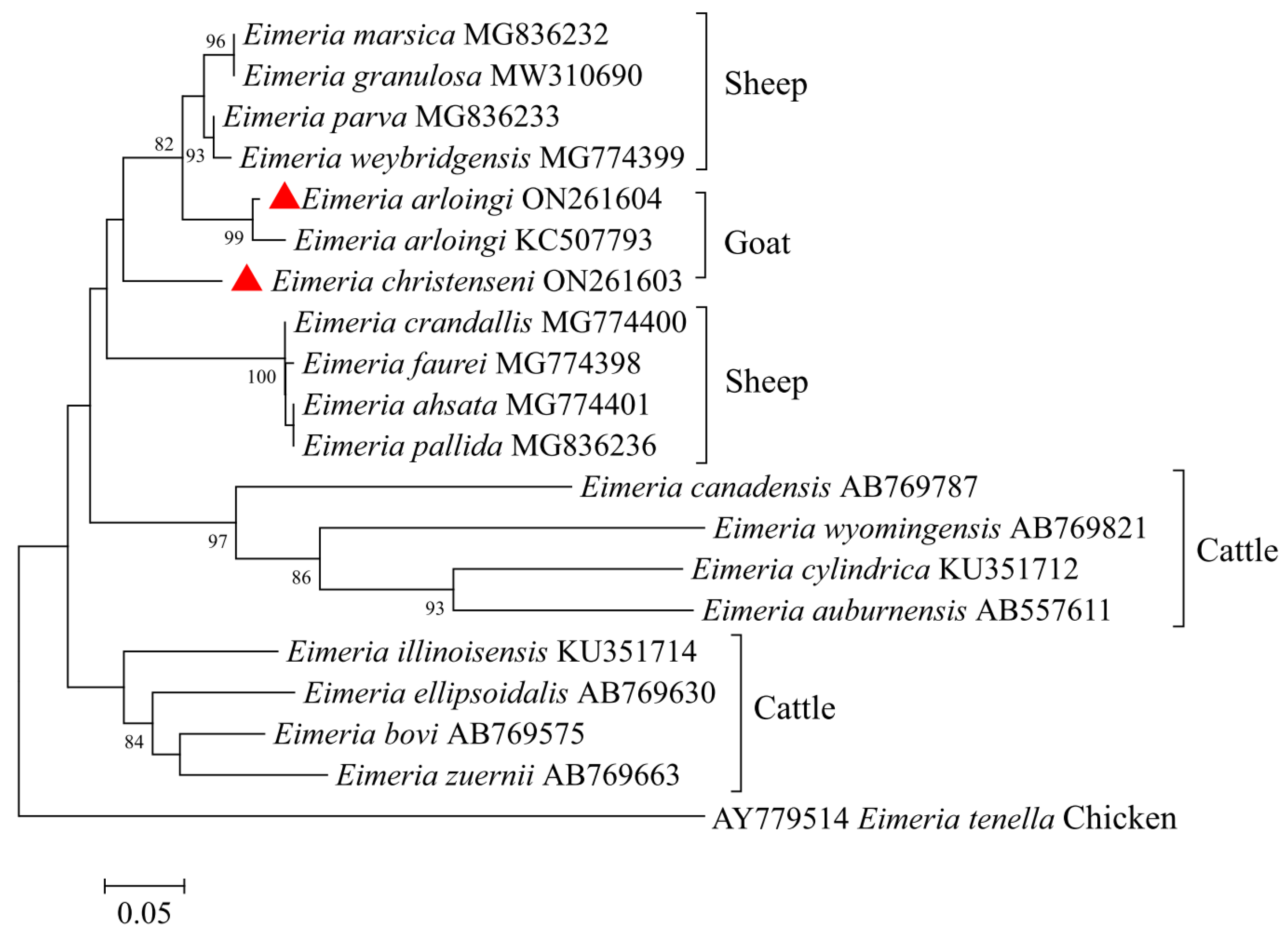 Animals 12 01340 g003 550