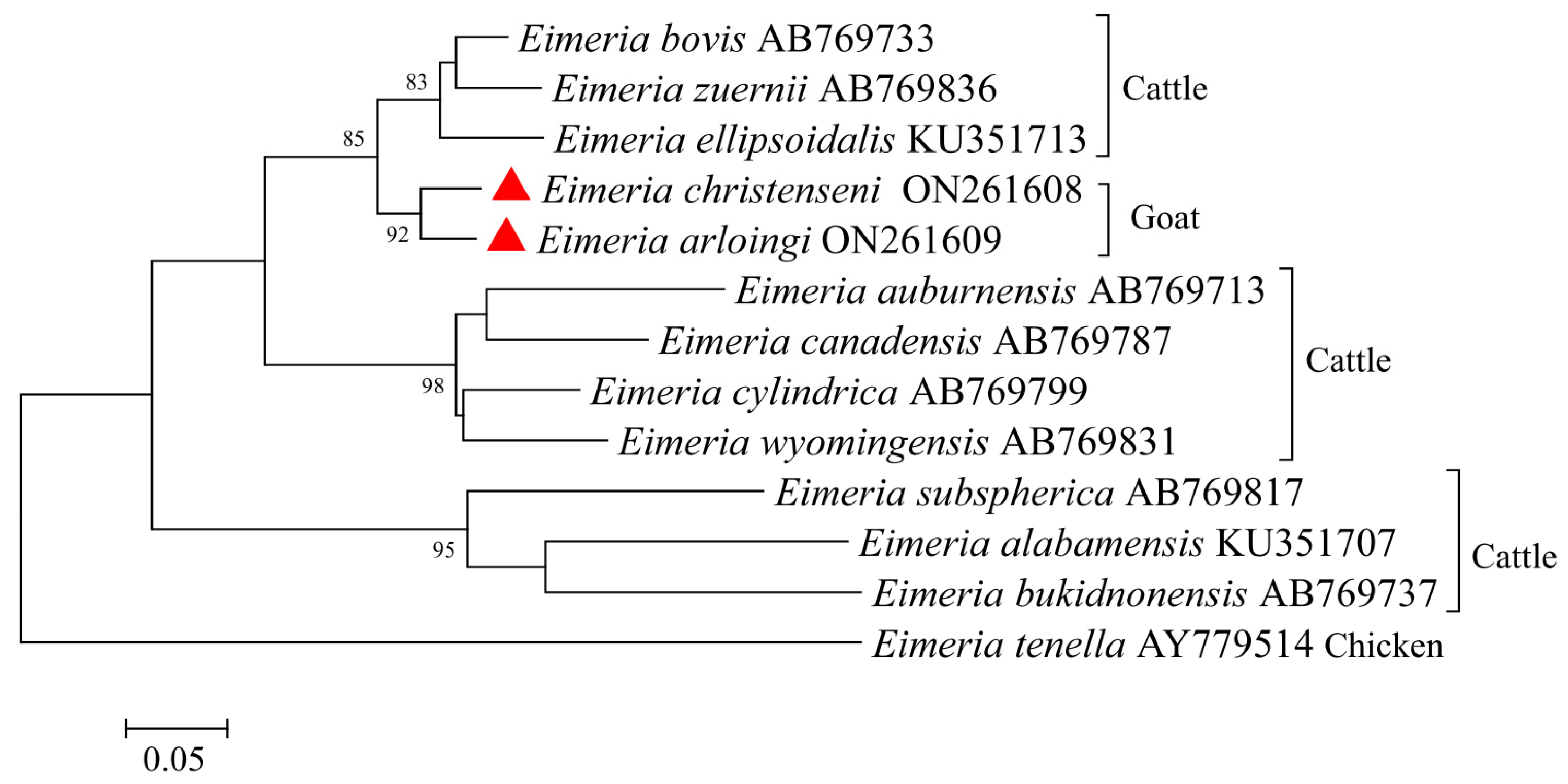 Animals 12 01340 g004 550