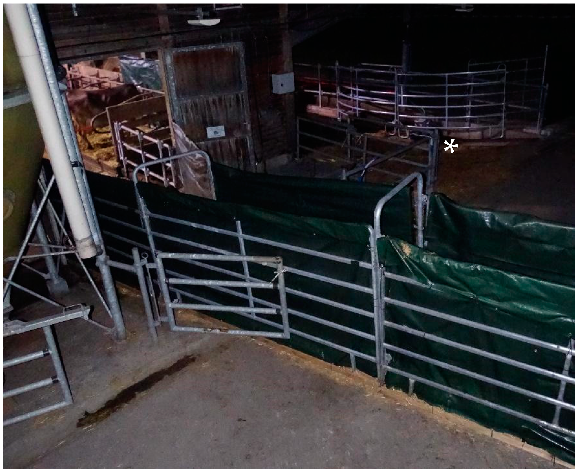 Animals 12 01344 g001 550