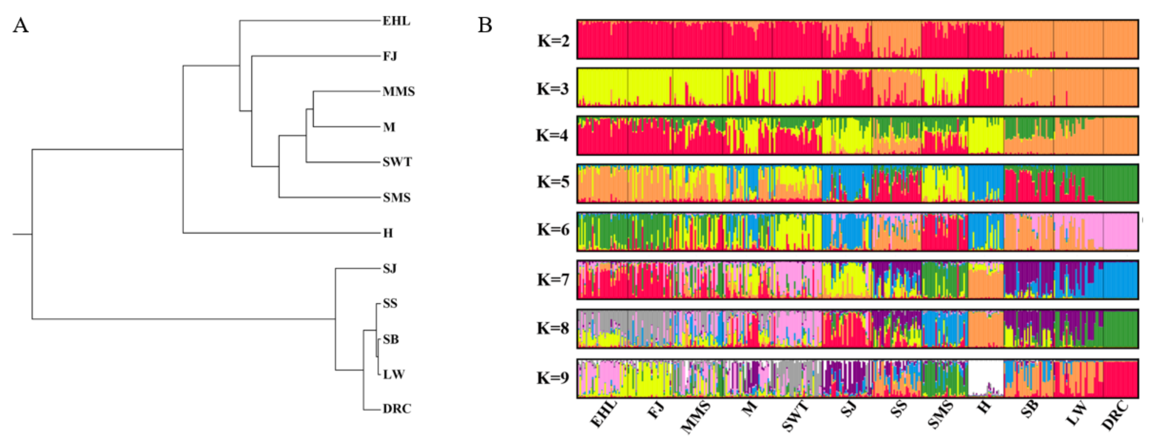 Animals 12 01345 g004 550