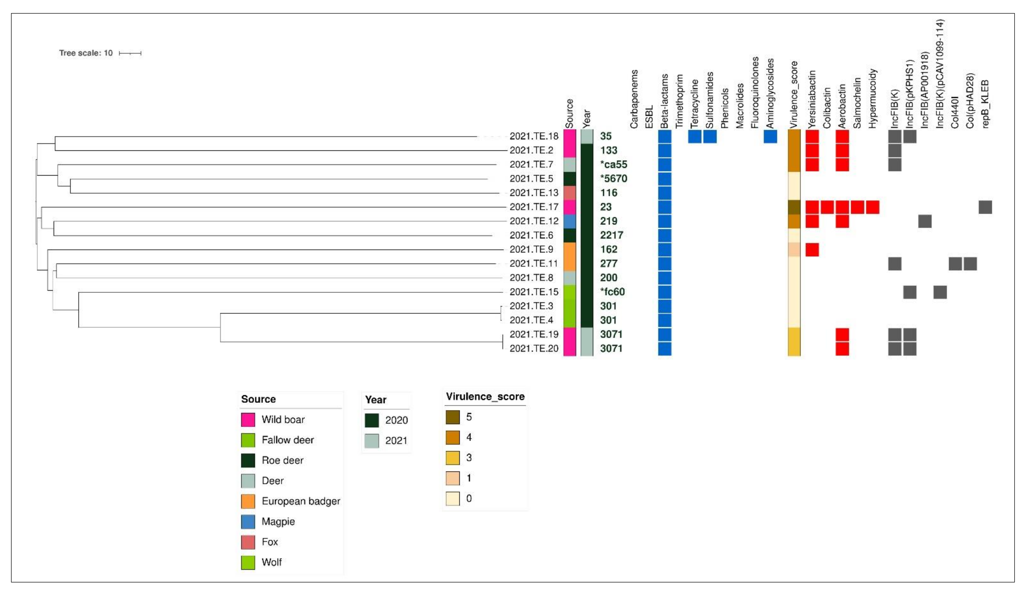 Animals 12 01347 g003 550