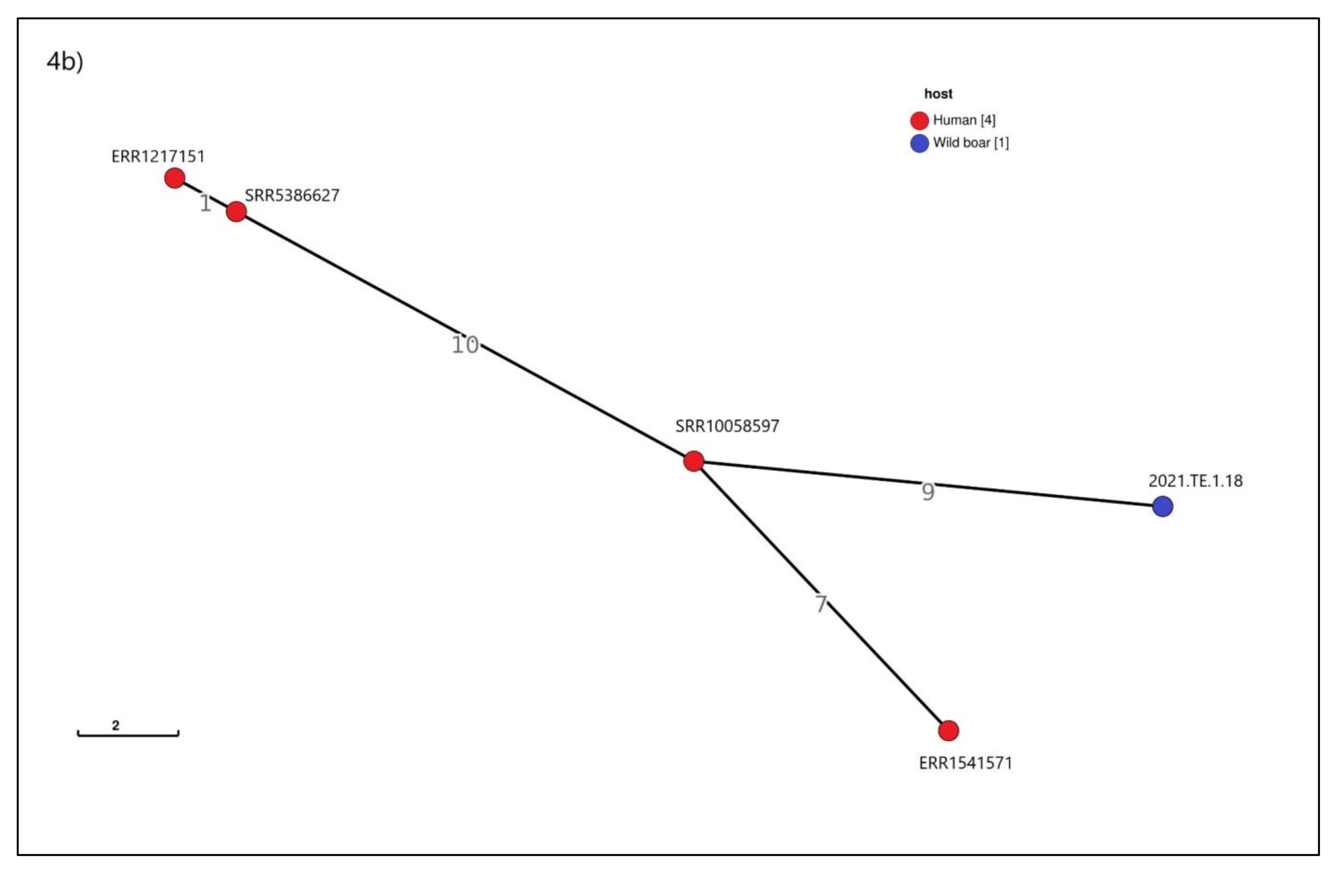 Animals 12 01347 g004b 550