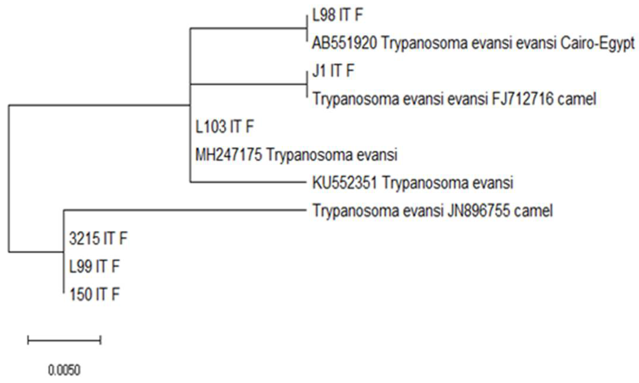 Animals 12 01348 g004