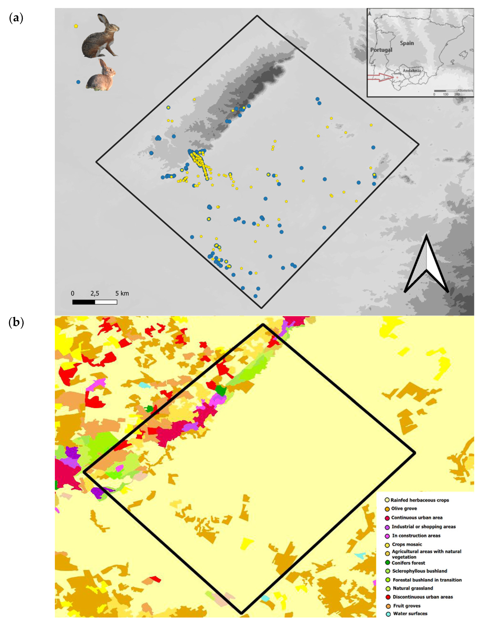 Animals 12 01351 g001