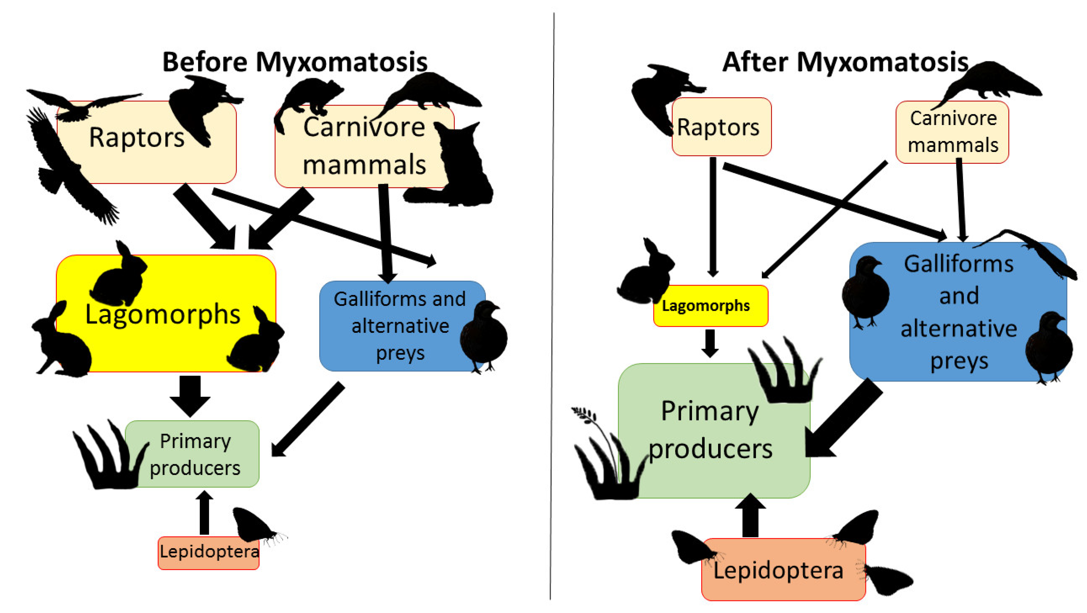 Animals 12 01351 g007