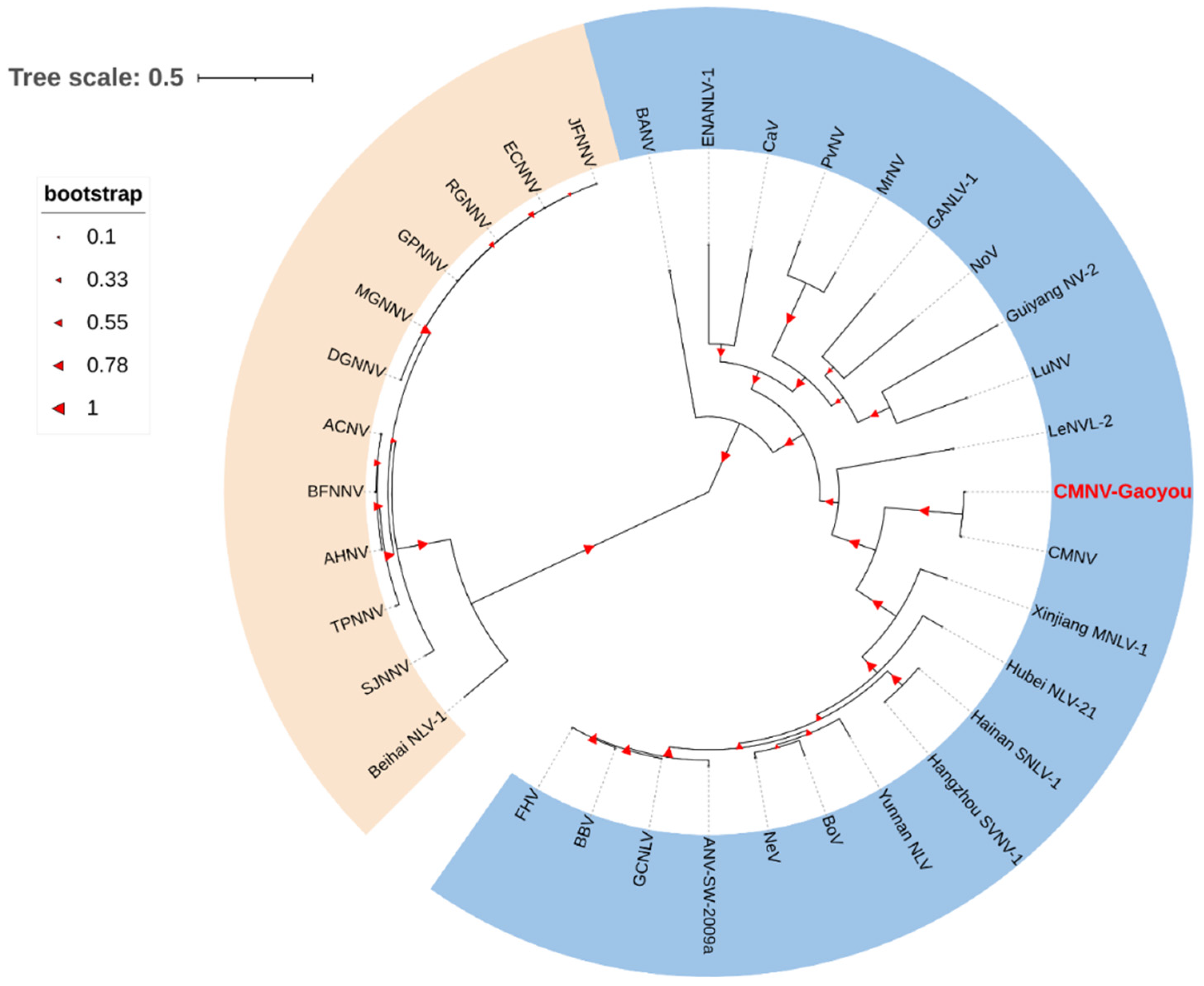 Animals 12 01370 g001