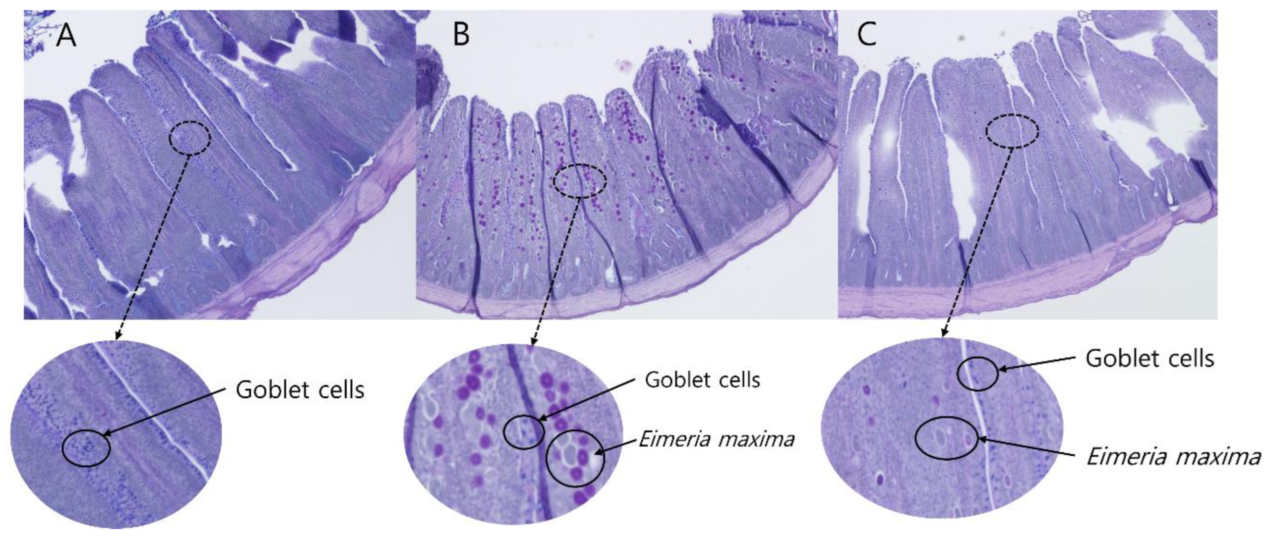 Animals 12 01378 g001 Animals 12 01378 g001