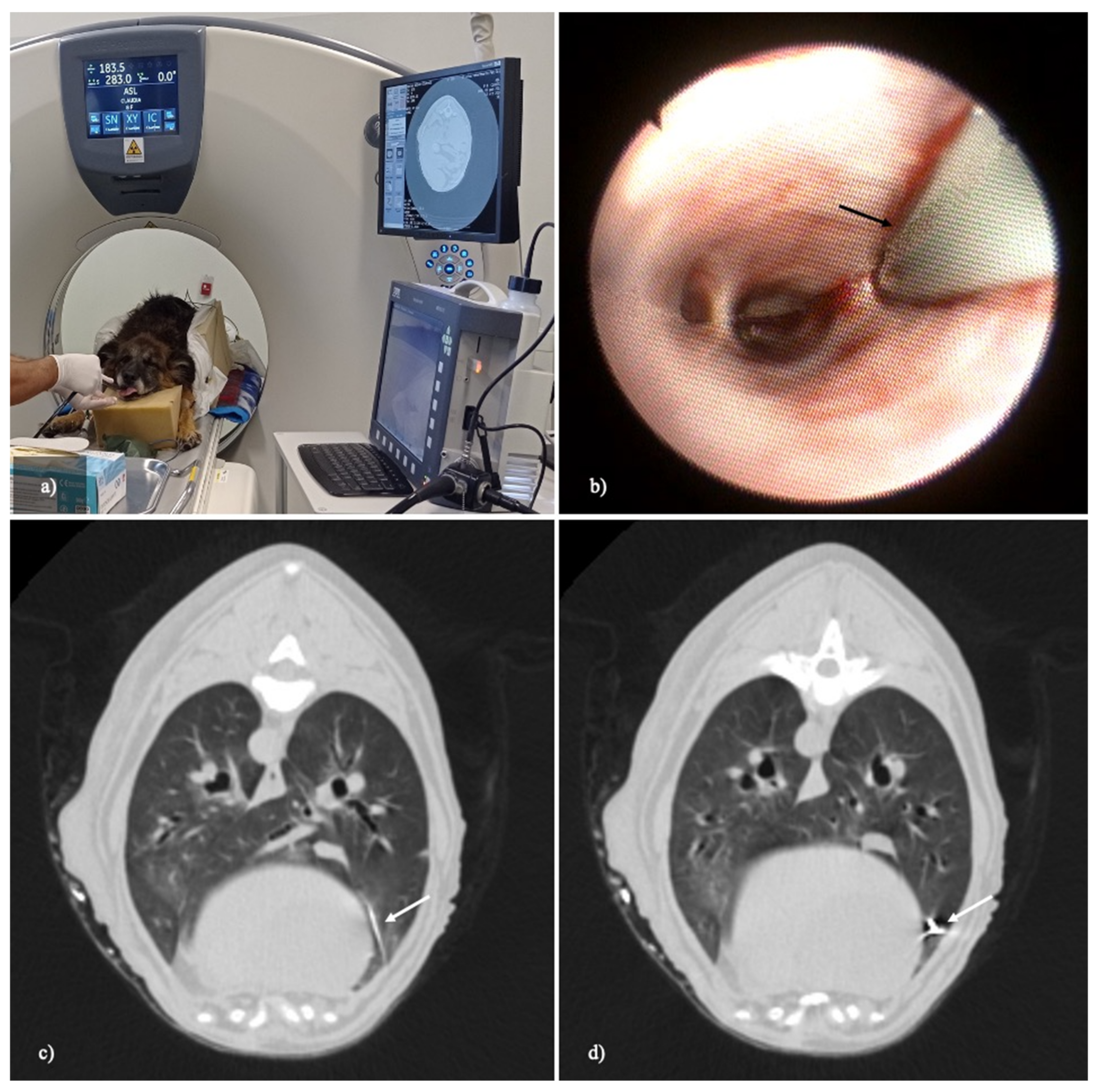 Animals 12 01388 g001 Animals 12 01388 g001