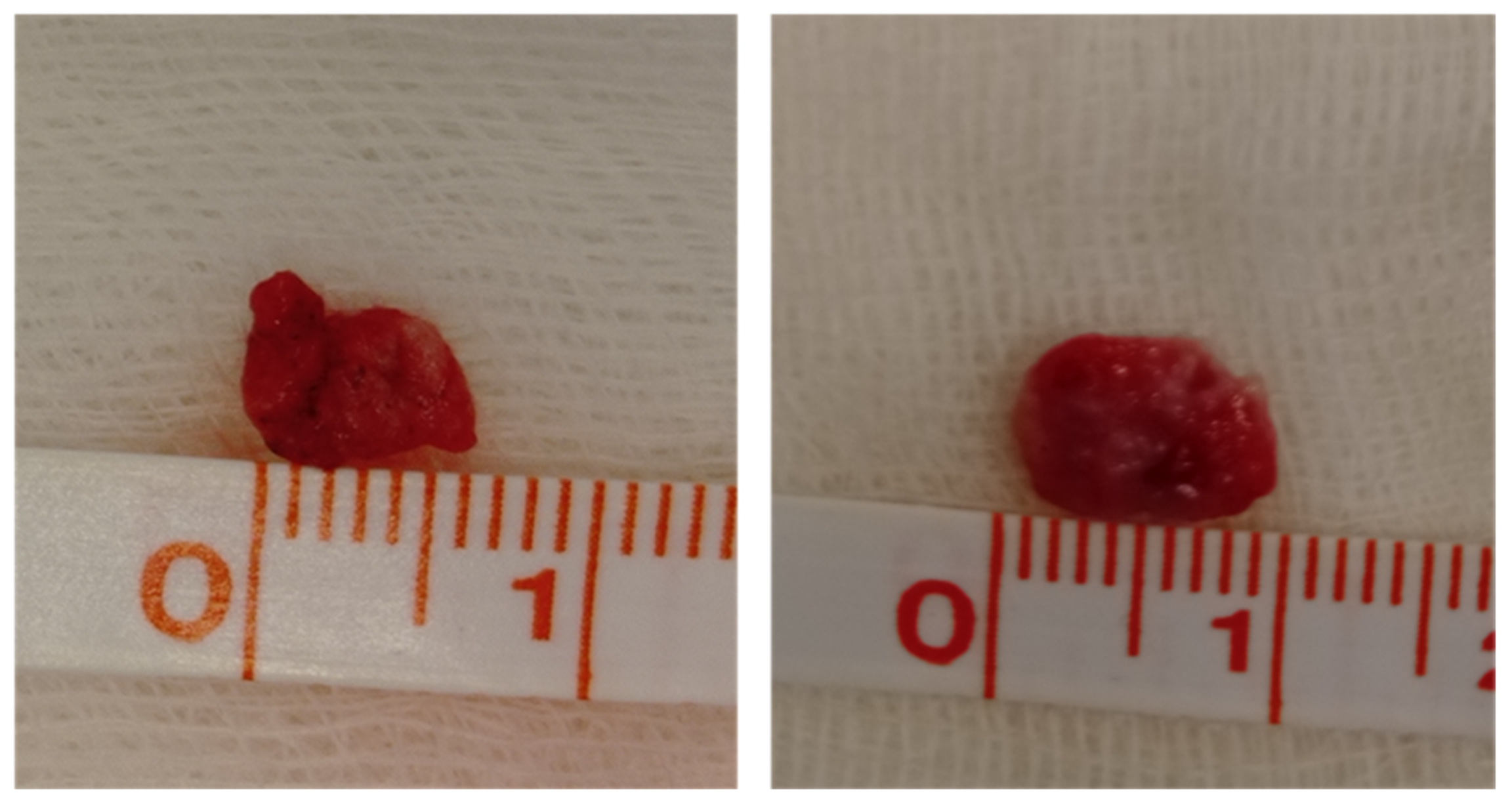 Animals 12 01388 g002 Animals 12 01388 g002