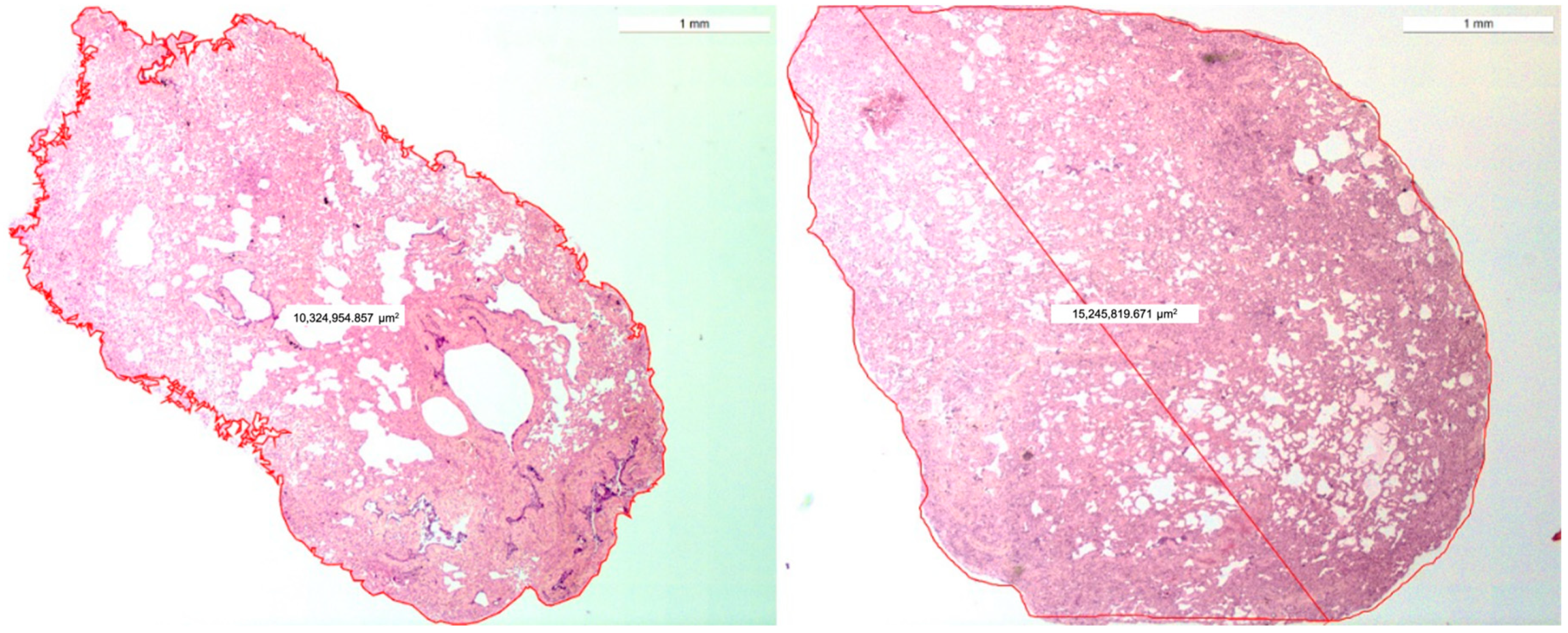 Animals 12 01388 g003 Animals 12 01388 g003