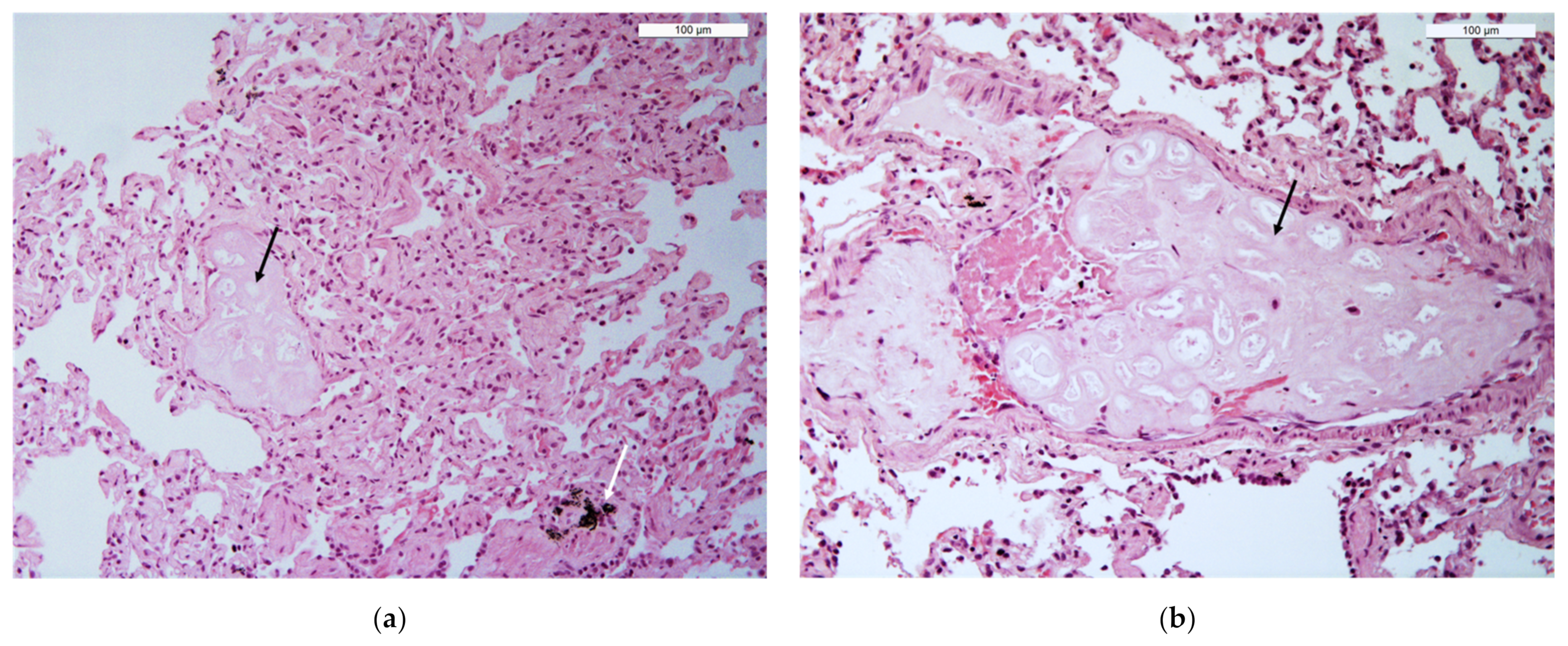 Animals 12 01388 g004 Animals 12 01388 g004