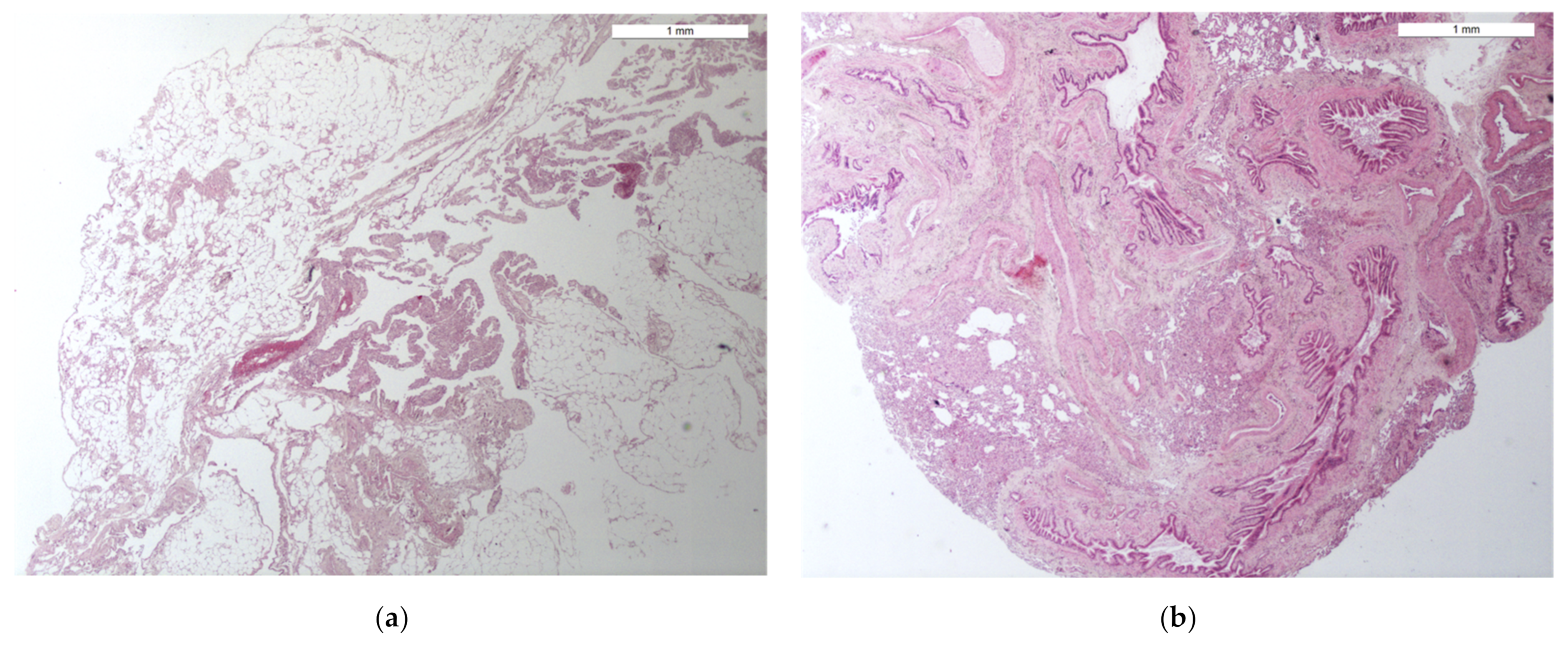 Animals 12 01388 g005 Animals 12 01388 g005