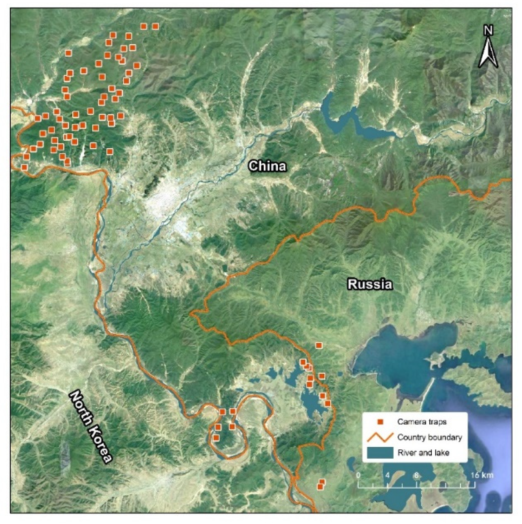 Animals 12 01392 g001 Animals 12 01392 g001