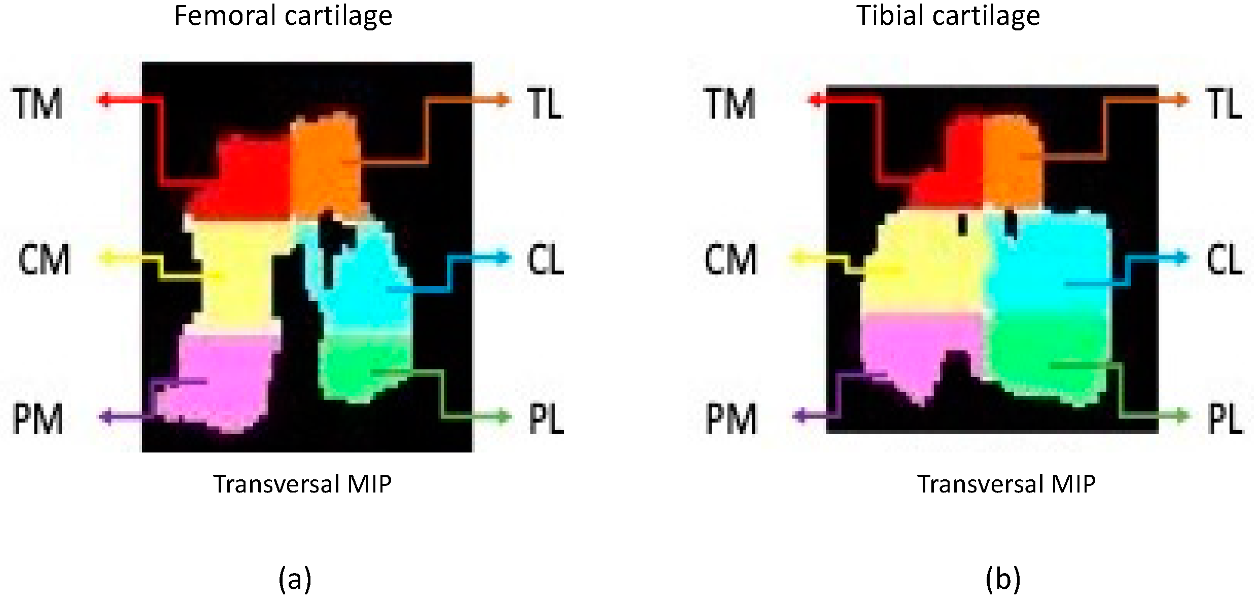 Animals 12 01401 g001