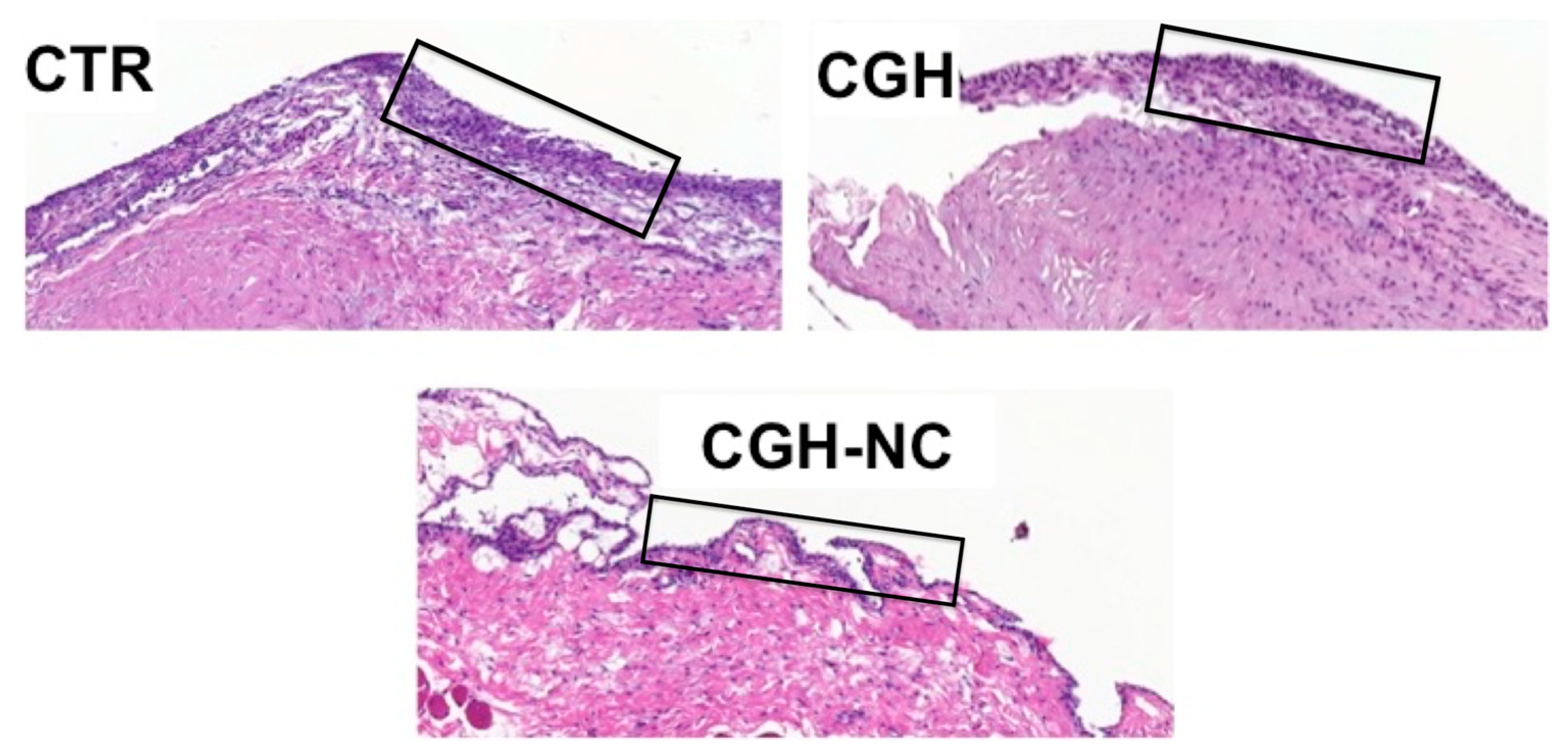 Animals 12 01401 g007