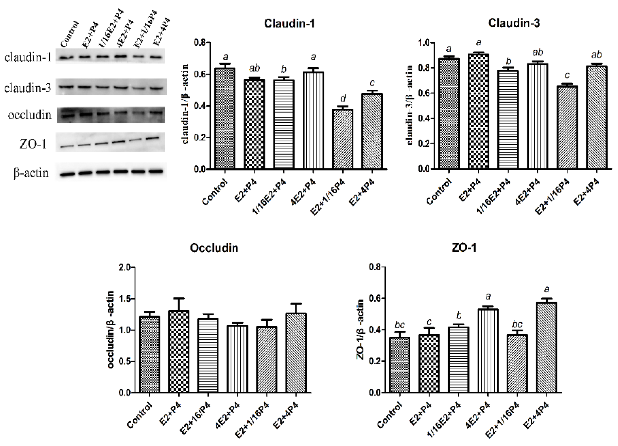Animals 12 01404 g004 550