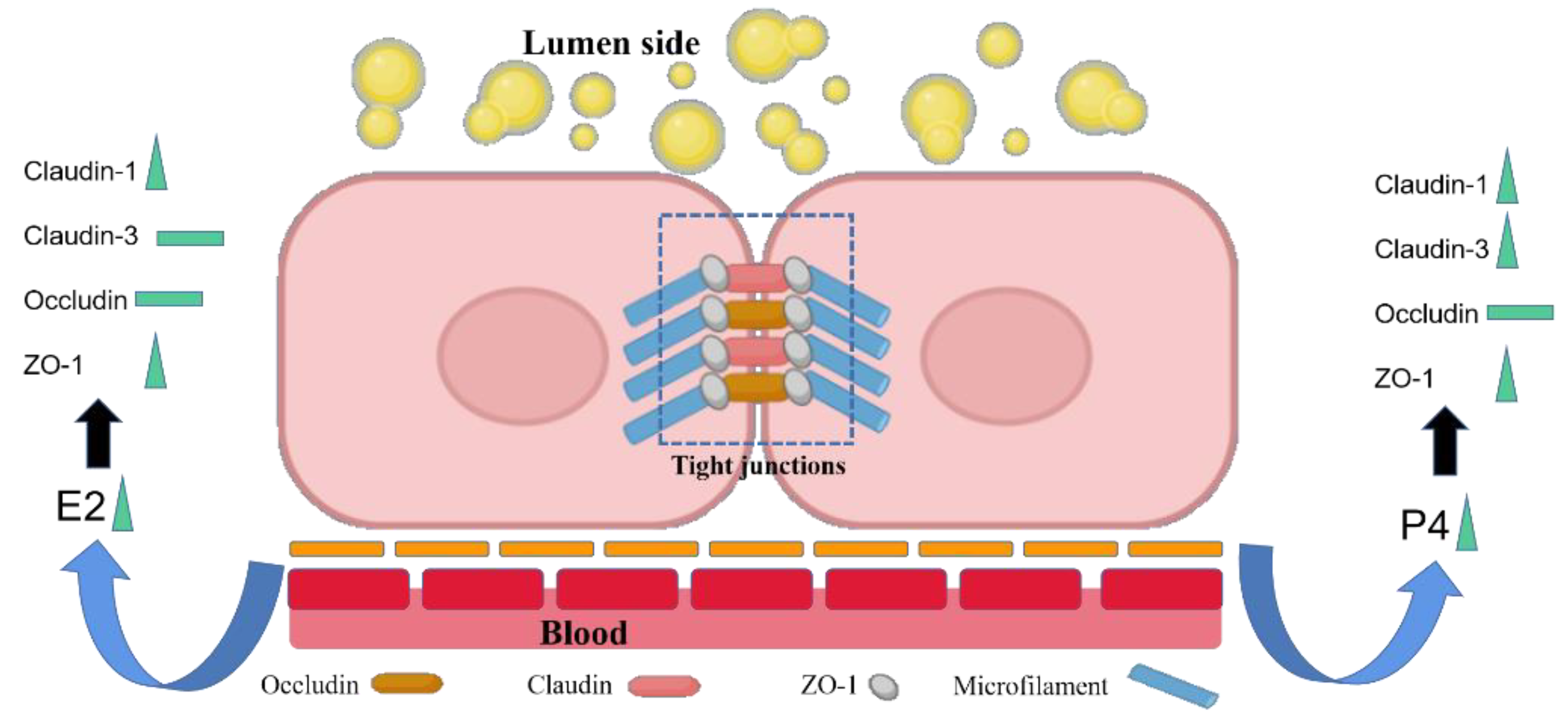 Animals 12 01404 g005 550