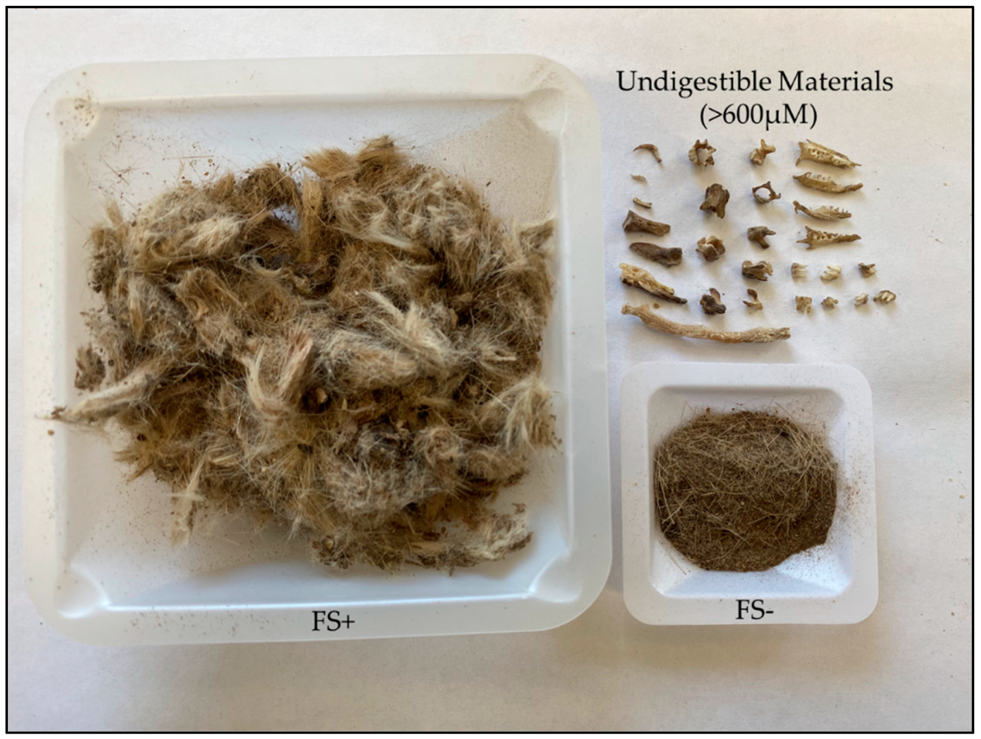 Animals 12 01410 g001 550