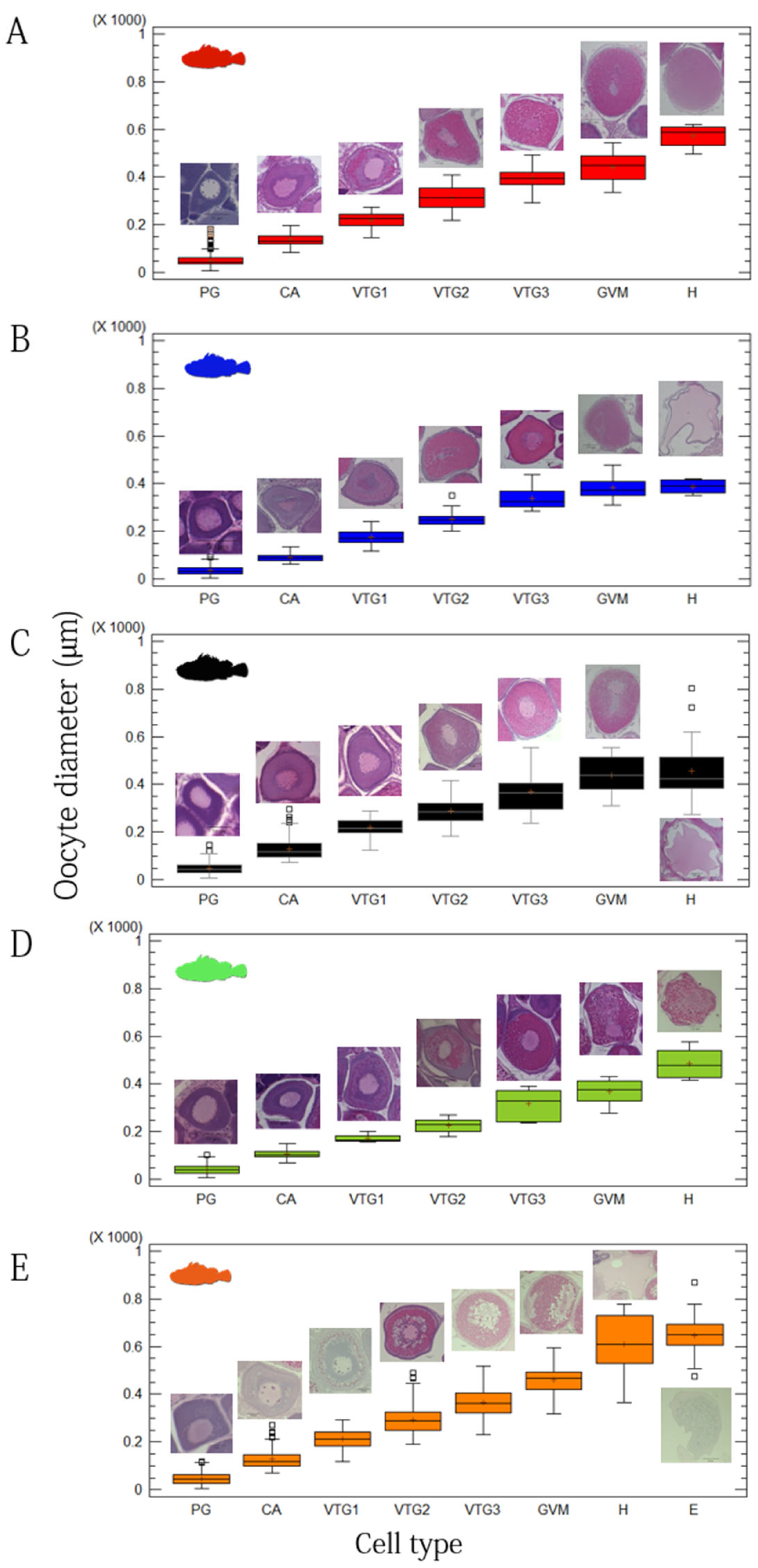 Animals 12 01412 g004