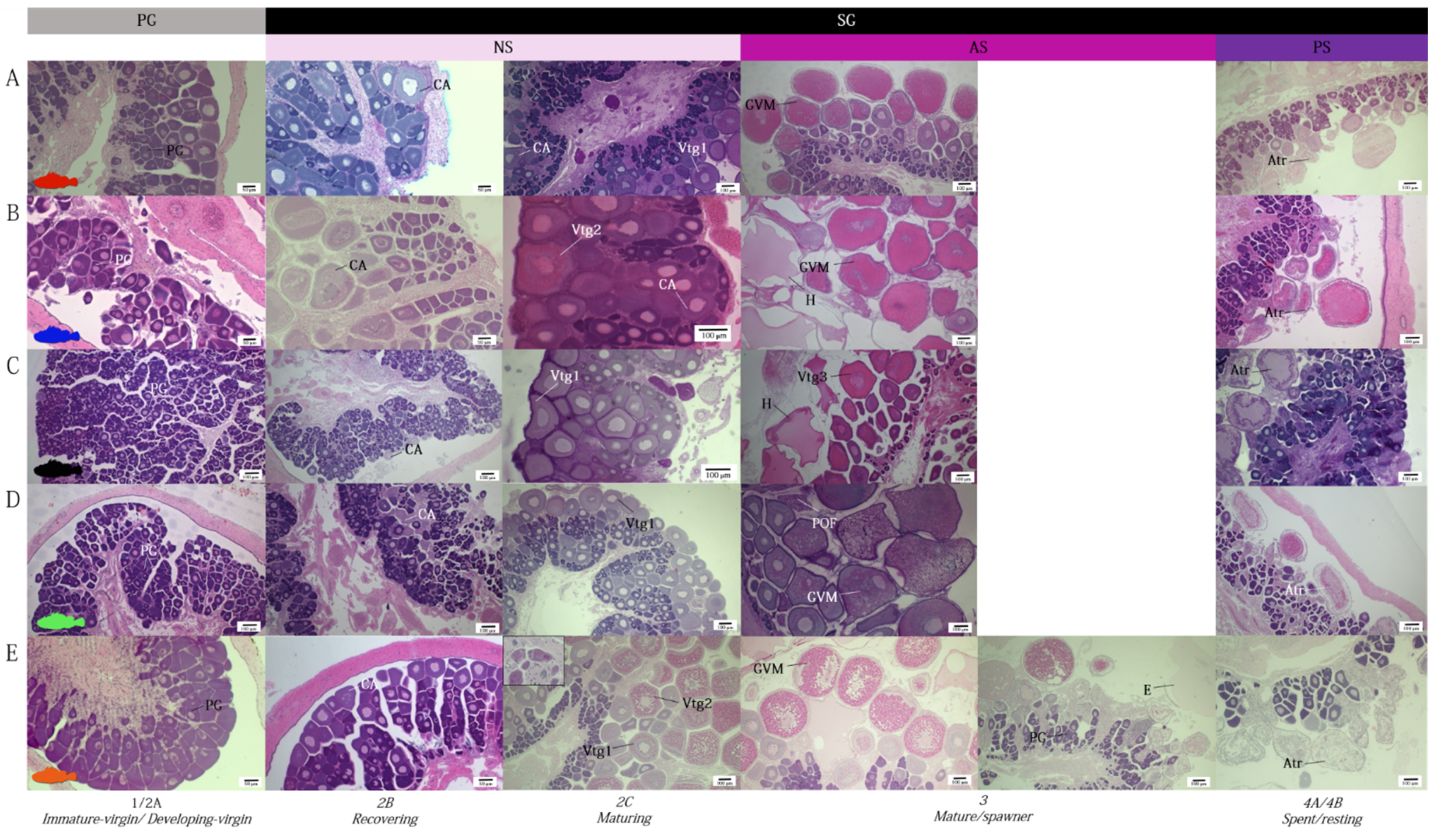 Animals 12 01412 g005