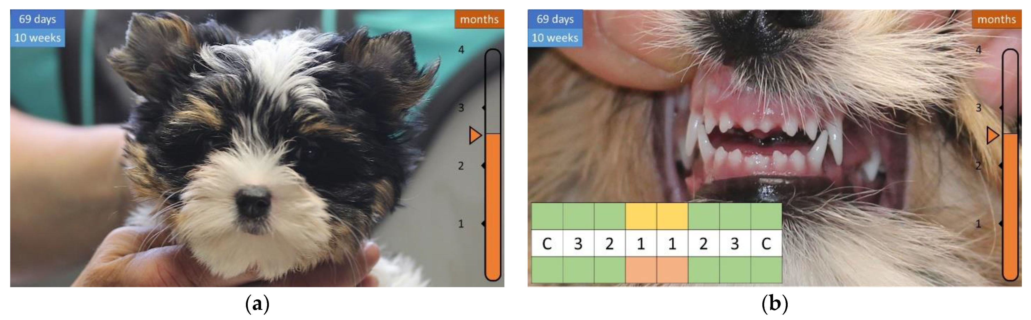 Animals 12 01417 g009