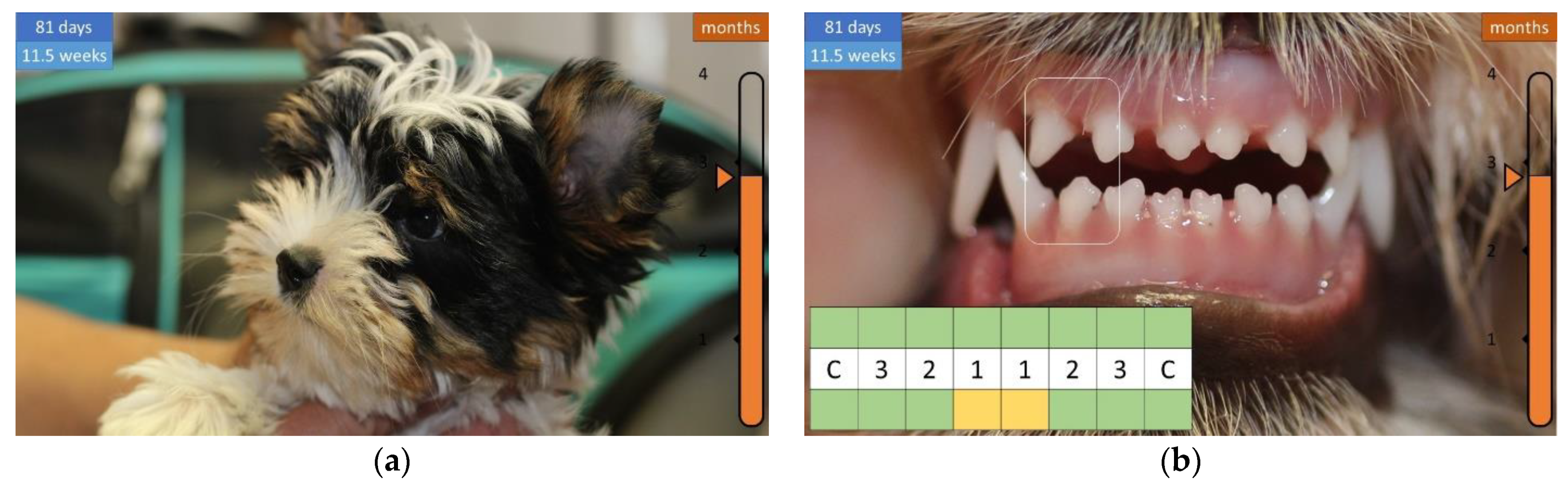 Animals 12 01417 g010