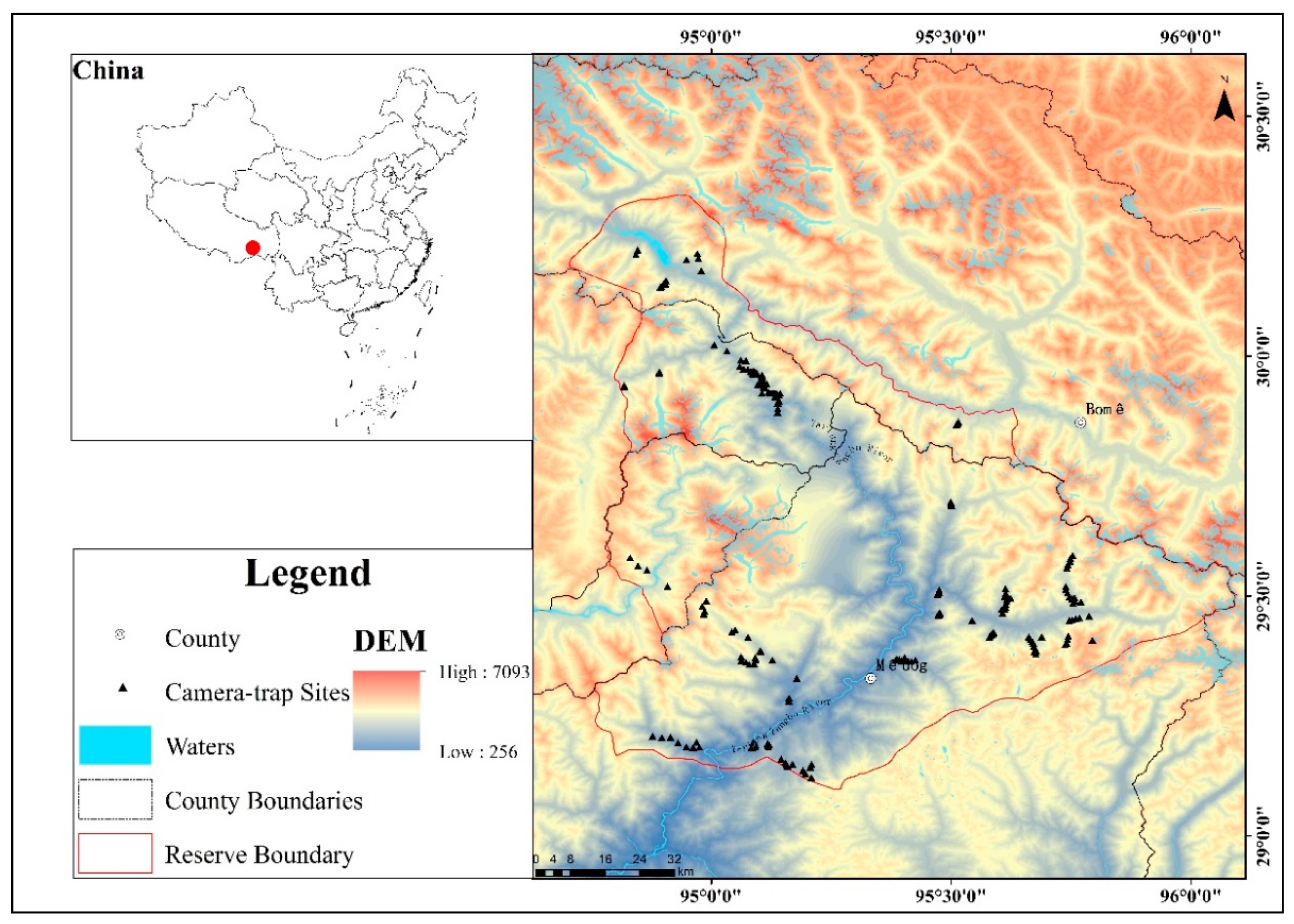 Animals 12 01420 g001