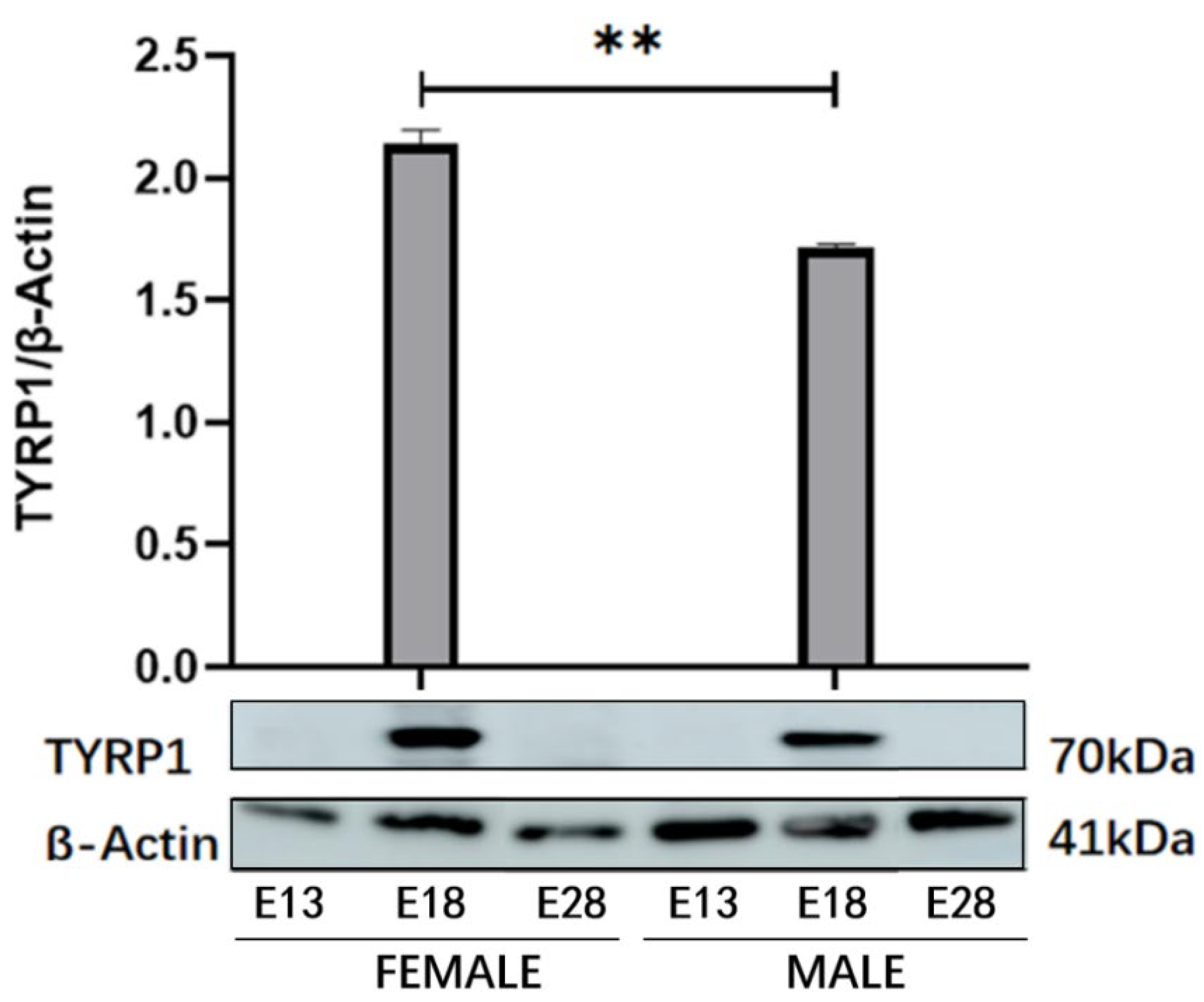 Animals 12 01427 g008