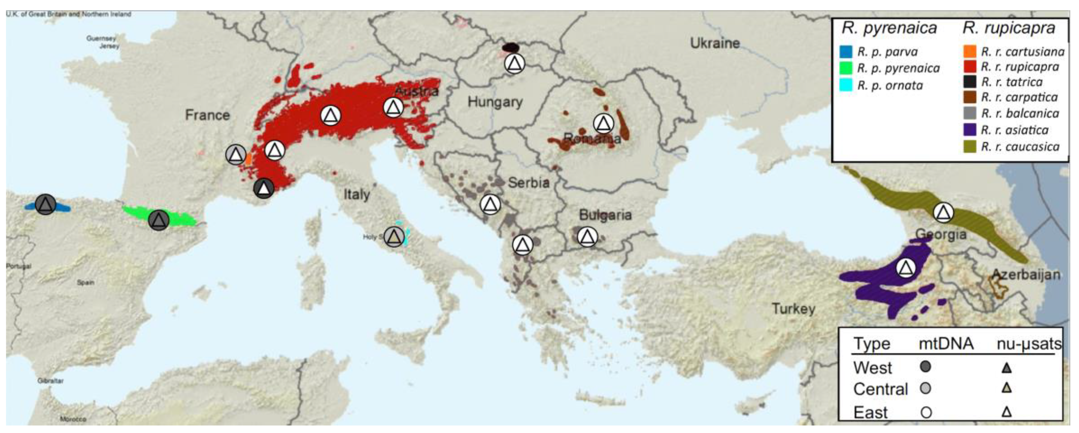 Animals 12 01430 g001