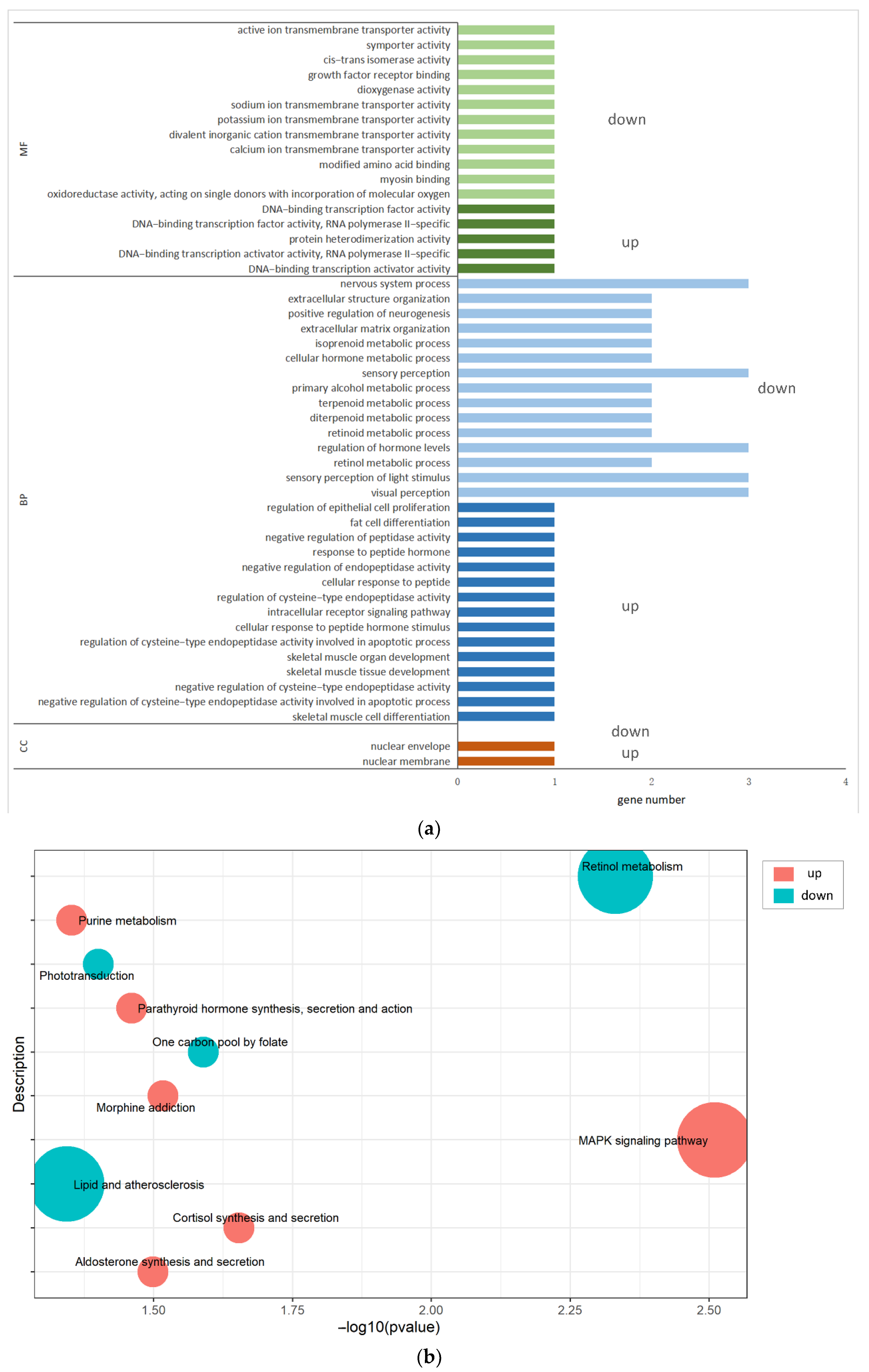 Animals 12 01431 g005