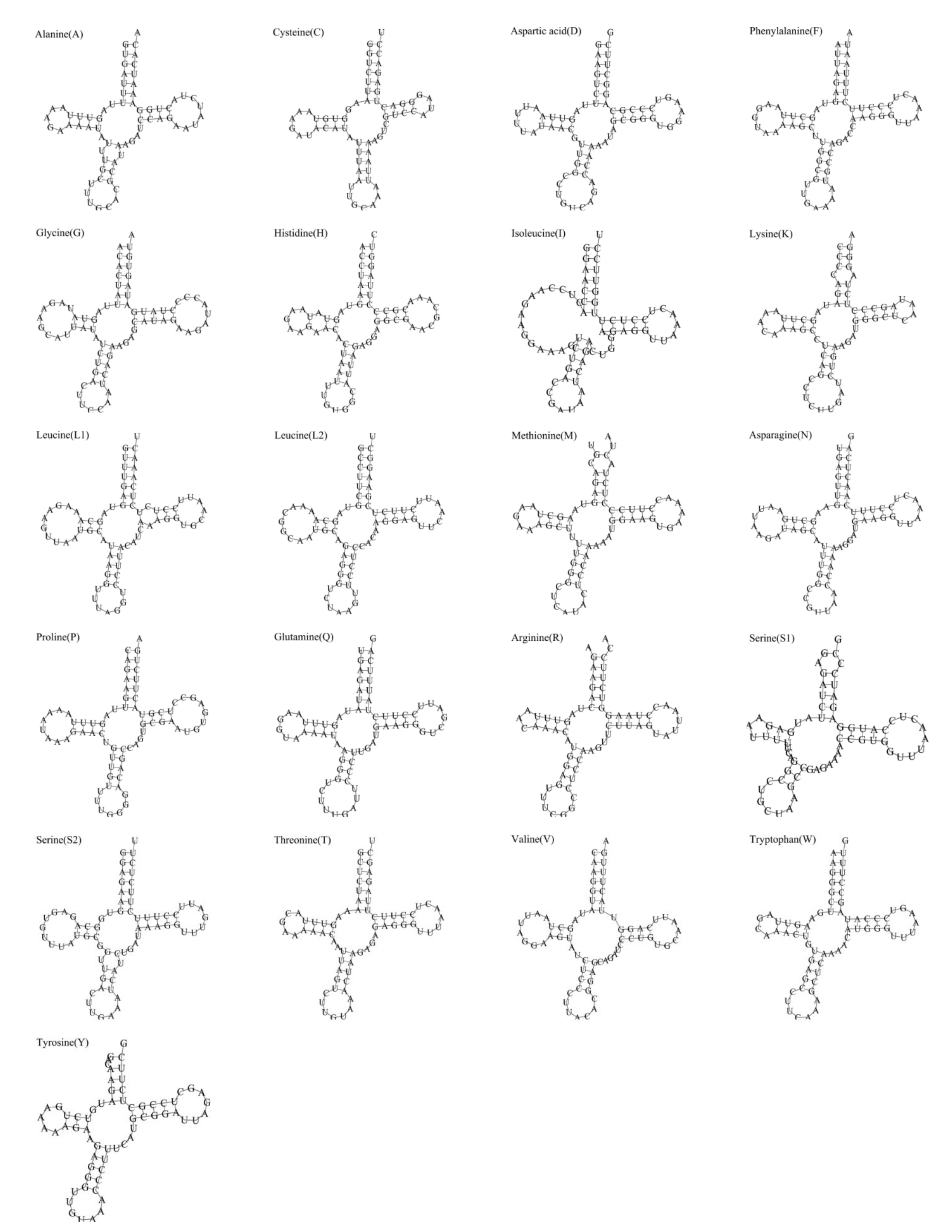 Animals 12 01437 g003