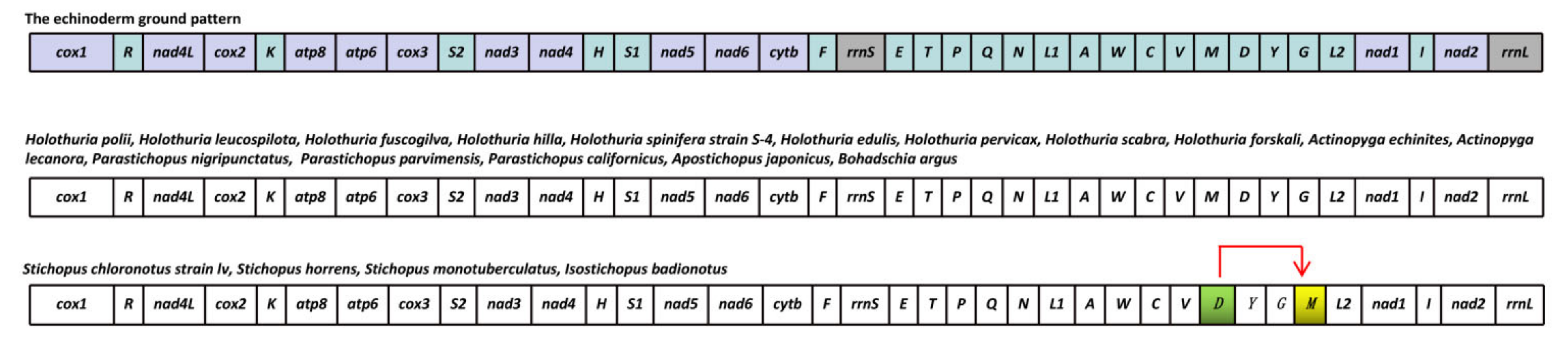 Animals 12 01437 g004