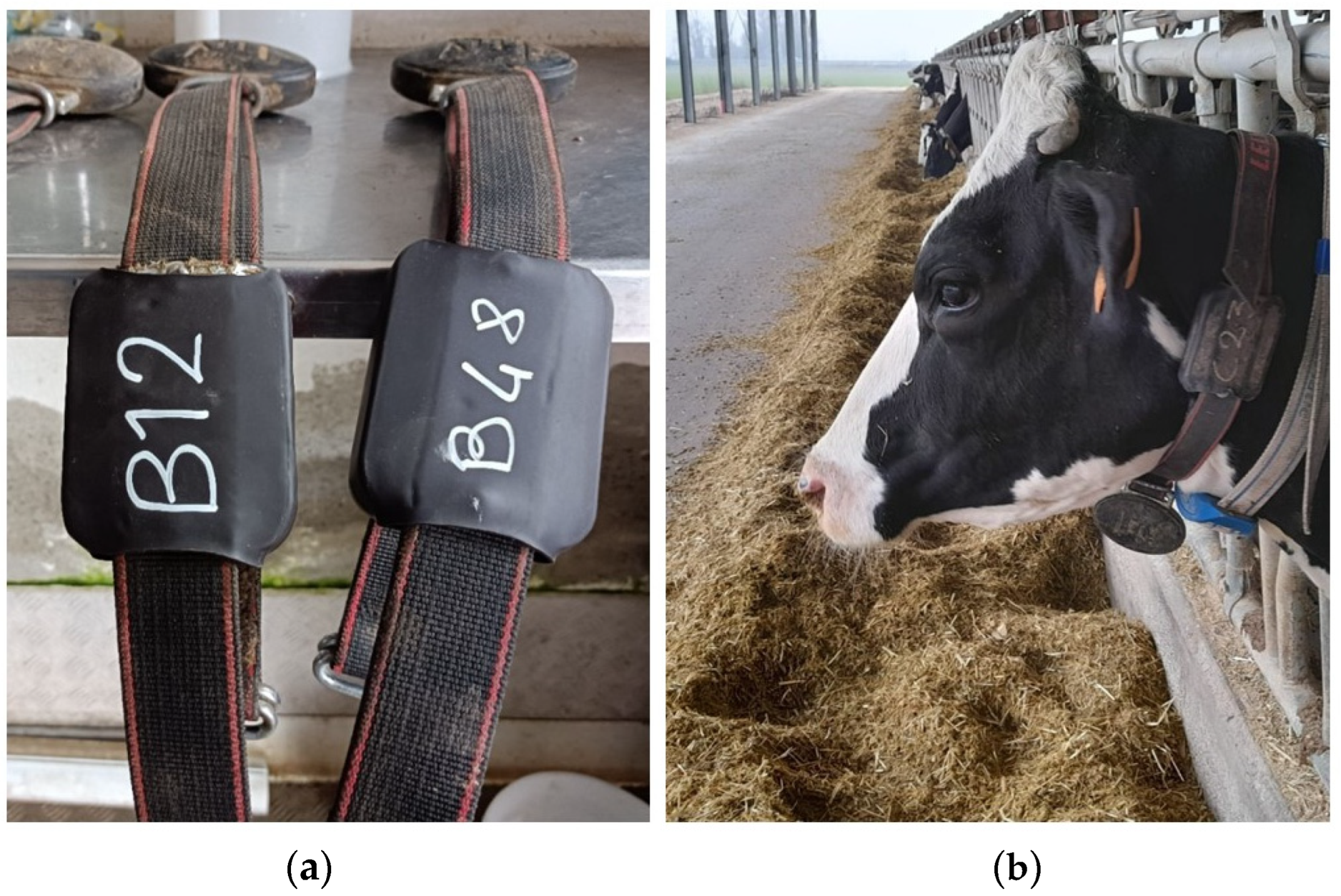 Animals 12 01447 g004