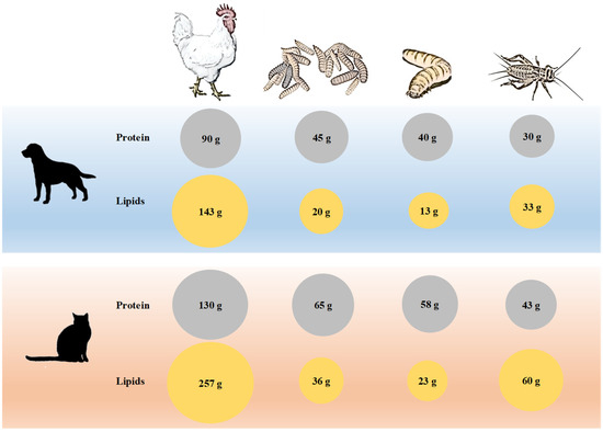 Animals | Free Full-Text | Insects as Feed for Companion and Exotic Pets: A Current Trend Animals | Free Full-Text | Insects as Feed for Companion and Exotic Pets: A Current Trend